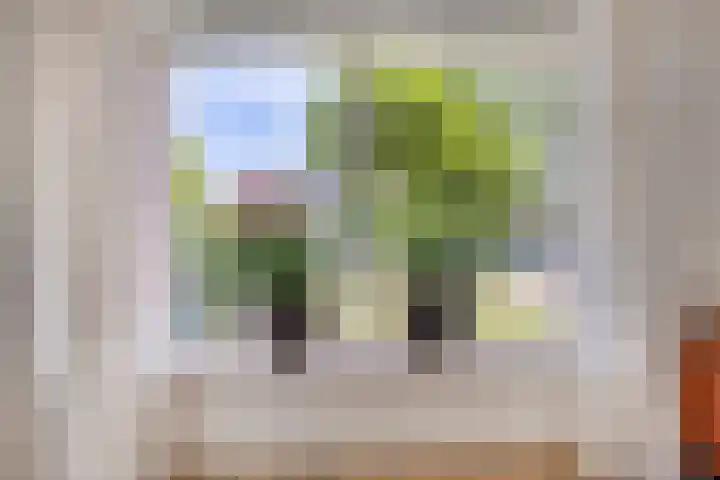 Hoofdstraat 89 Gaanderen thumbnail 17