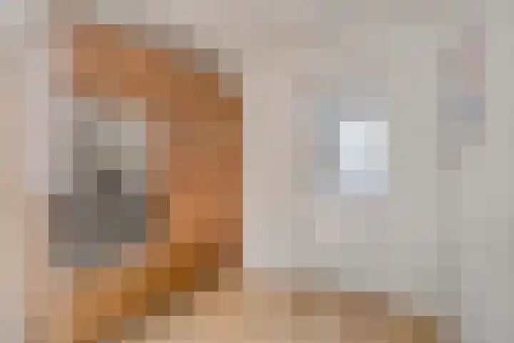 Hoofdstraat 89 Gaanderen thumbnail 27