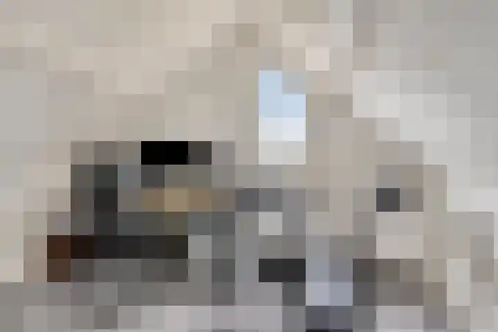 Hoofdstraat 89 Gaanderen thumbnail 48