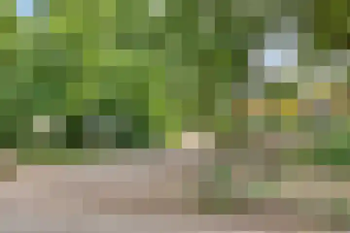 Hoofdstraat 89 Gaanderen thumbnail 54