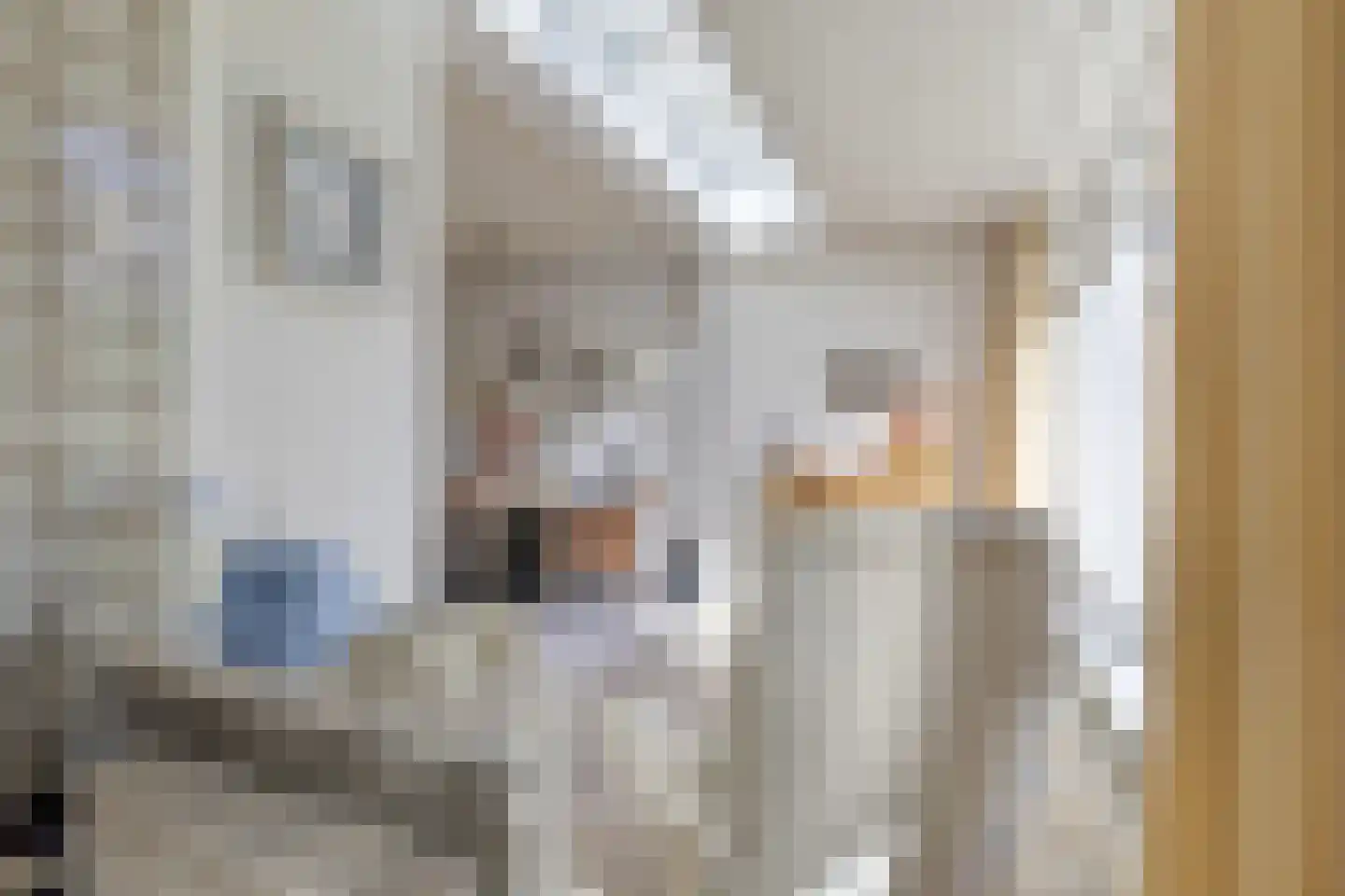 Hoofdstraat 89 Leiderdorp thumbnail 13