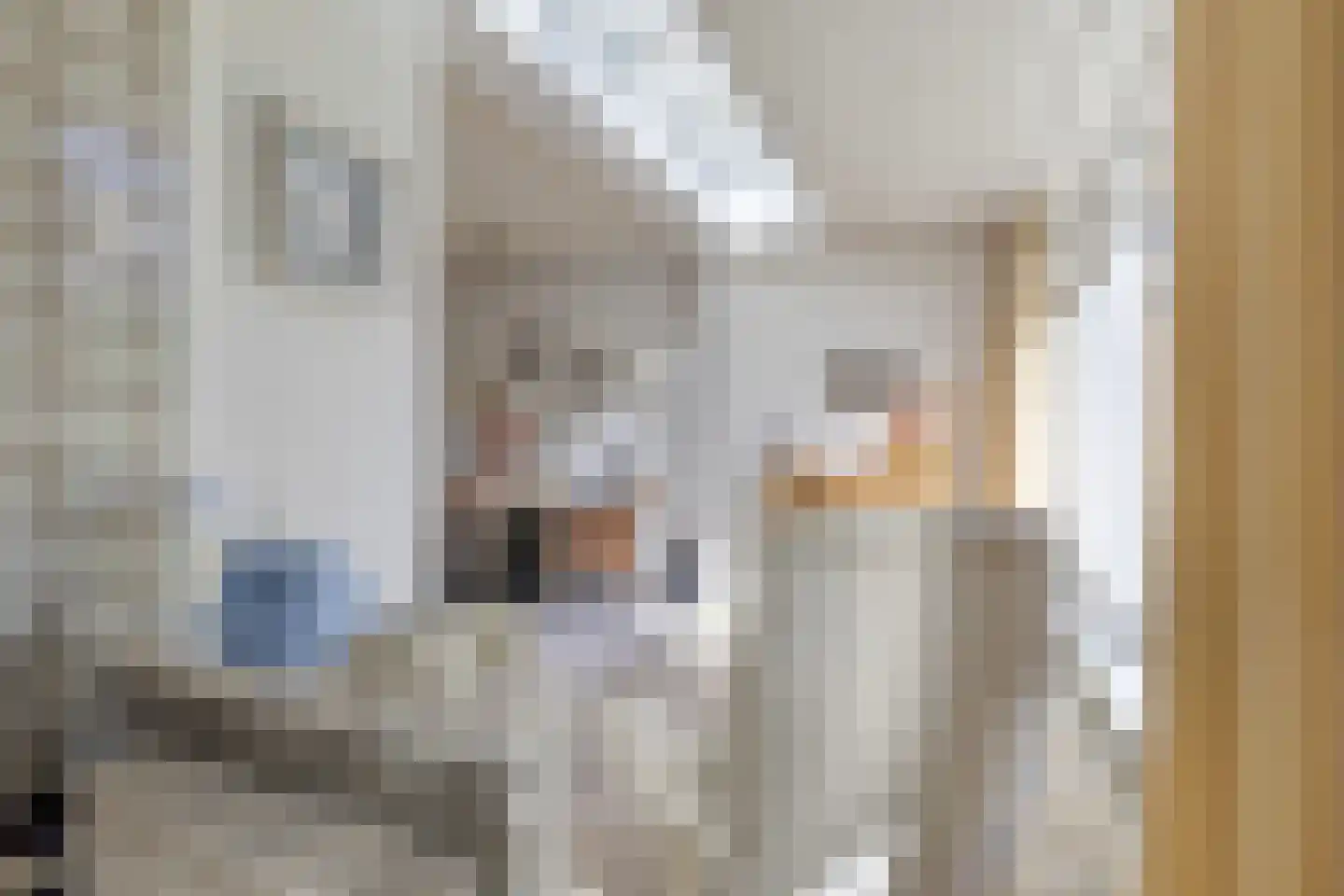 Hoofdstraat 89 Leiderdorp thumbnail 13