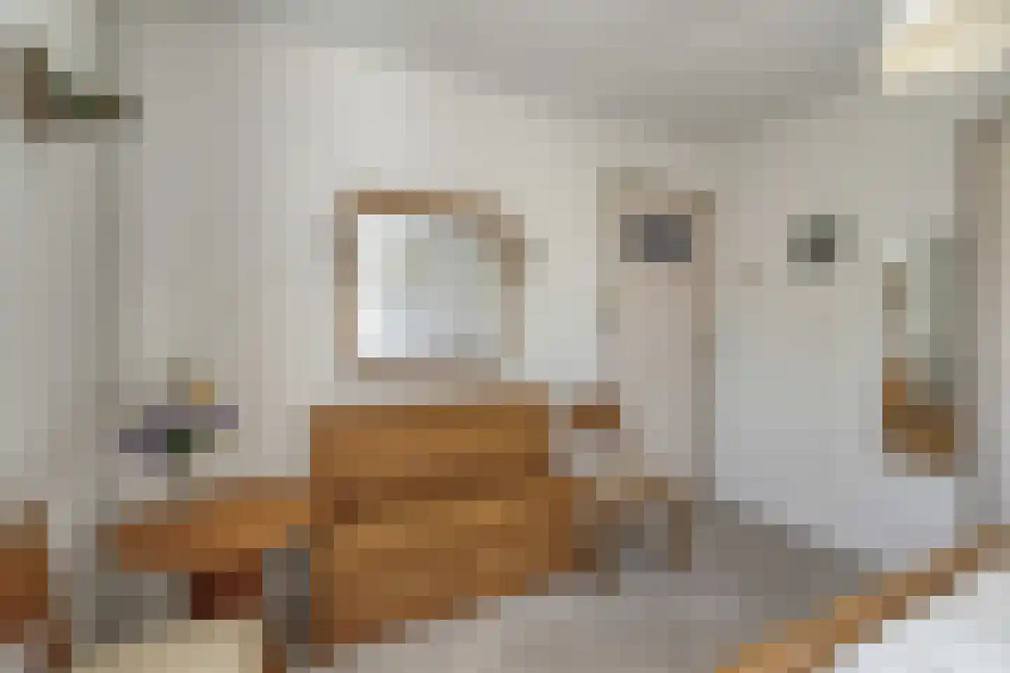 Hoofdstraat 89 Leiderdorp thumbnail 19