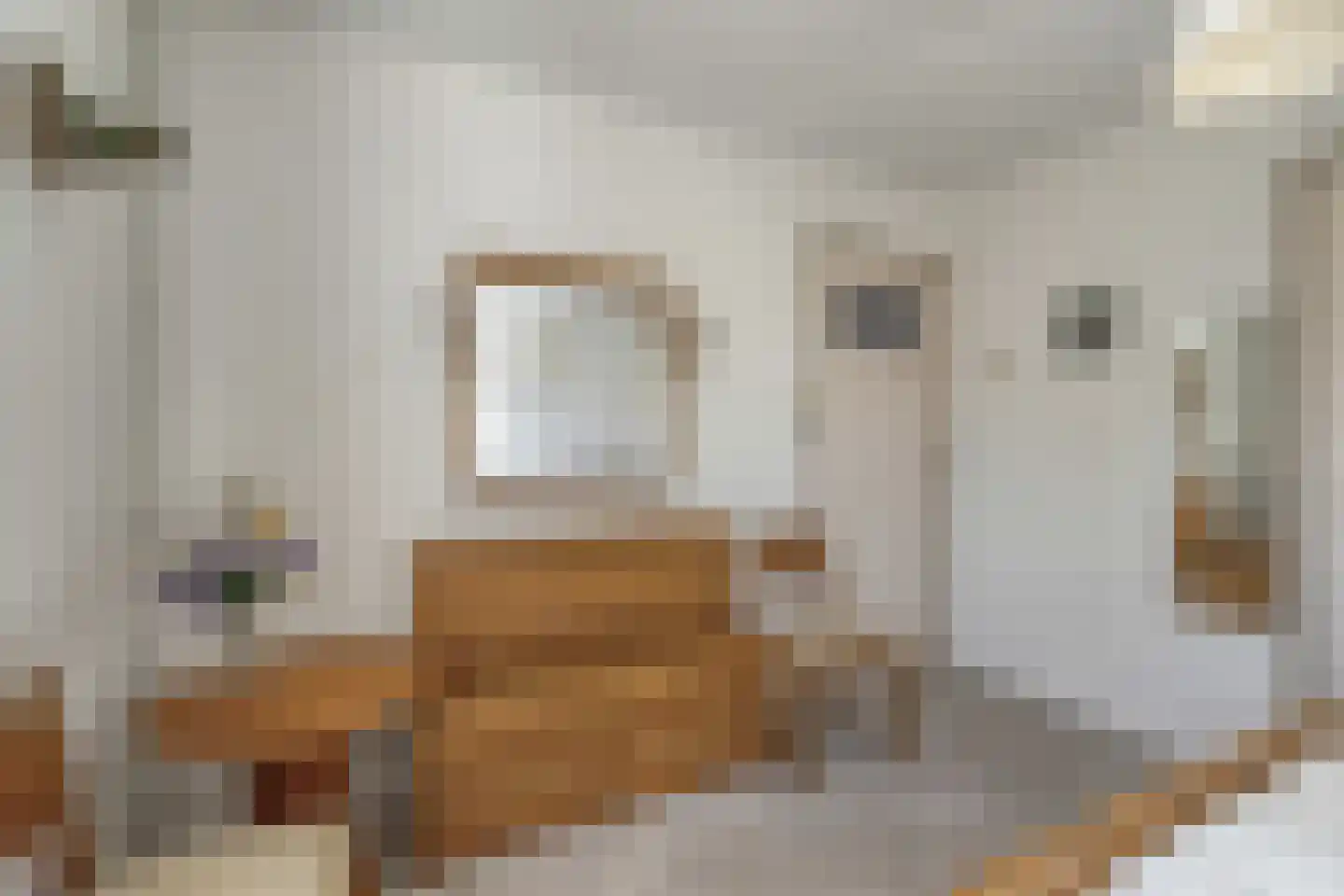 Hoofdstraat 89 Leiderdorp thumbnail 19