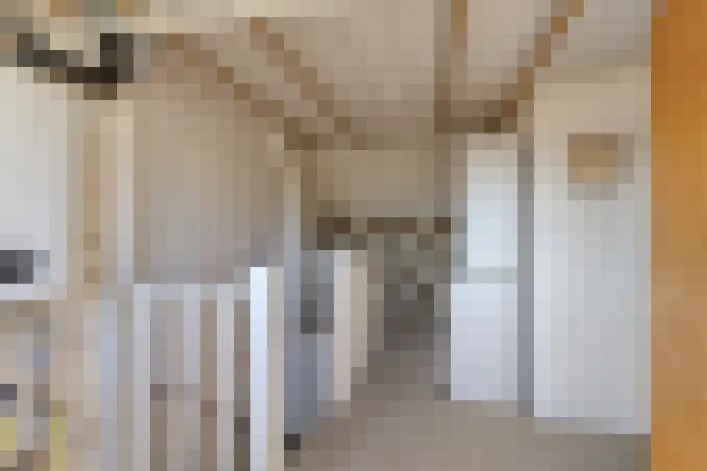 Hoofdstraat 89 Leiderdorp thumbnail 27