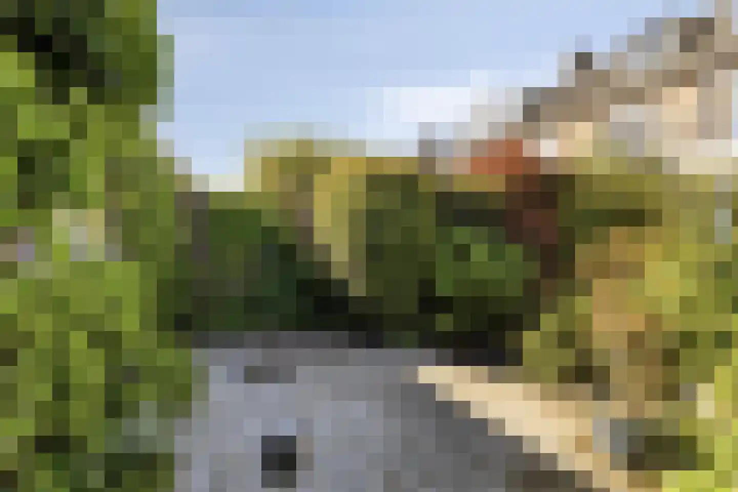 Hoofdstraat 89 Leiderdorp thumbnail 32