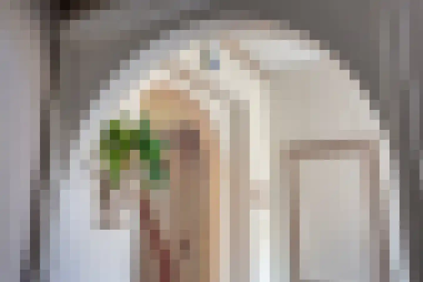 Hoofdstraat 9 Buinerveen thumbnail 35
