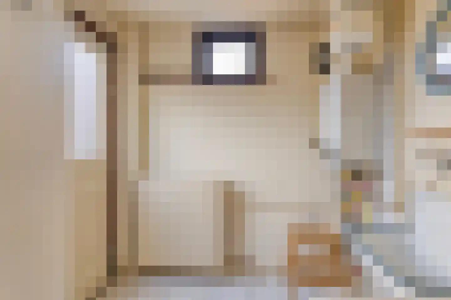 Hoofdstraat 9 Buinerveen thumbnail 36