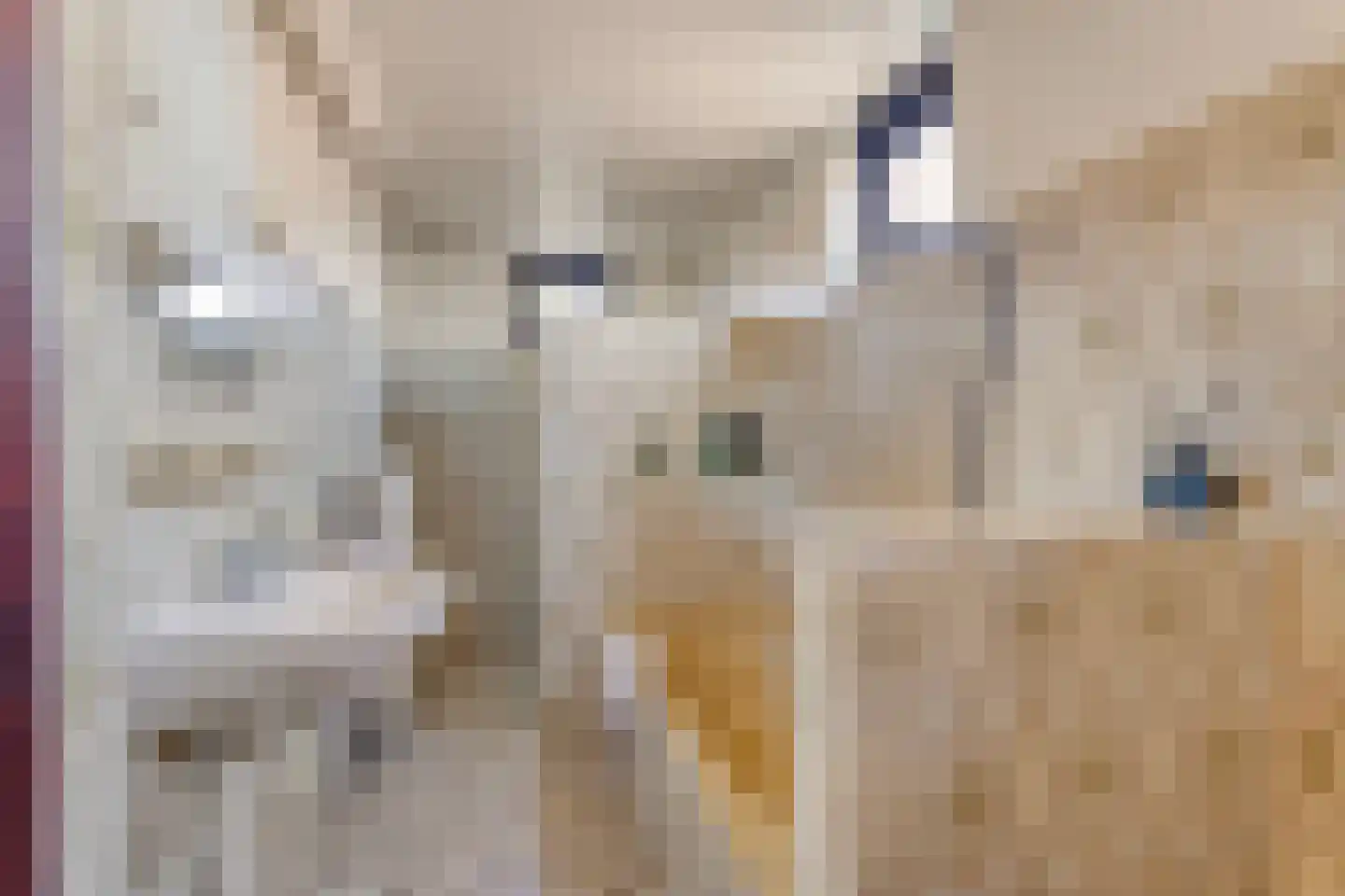 Hoofdstraat 9 Buinerveen thumbnail 38