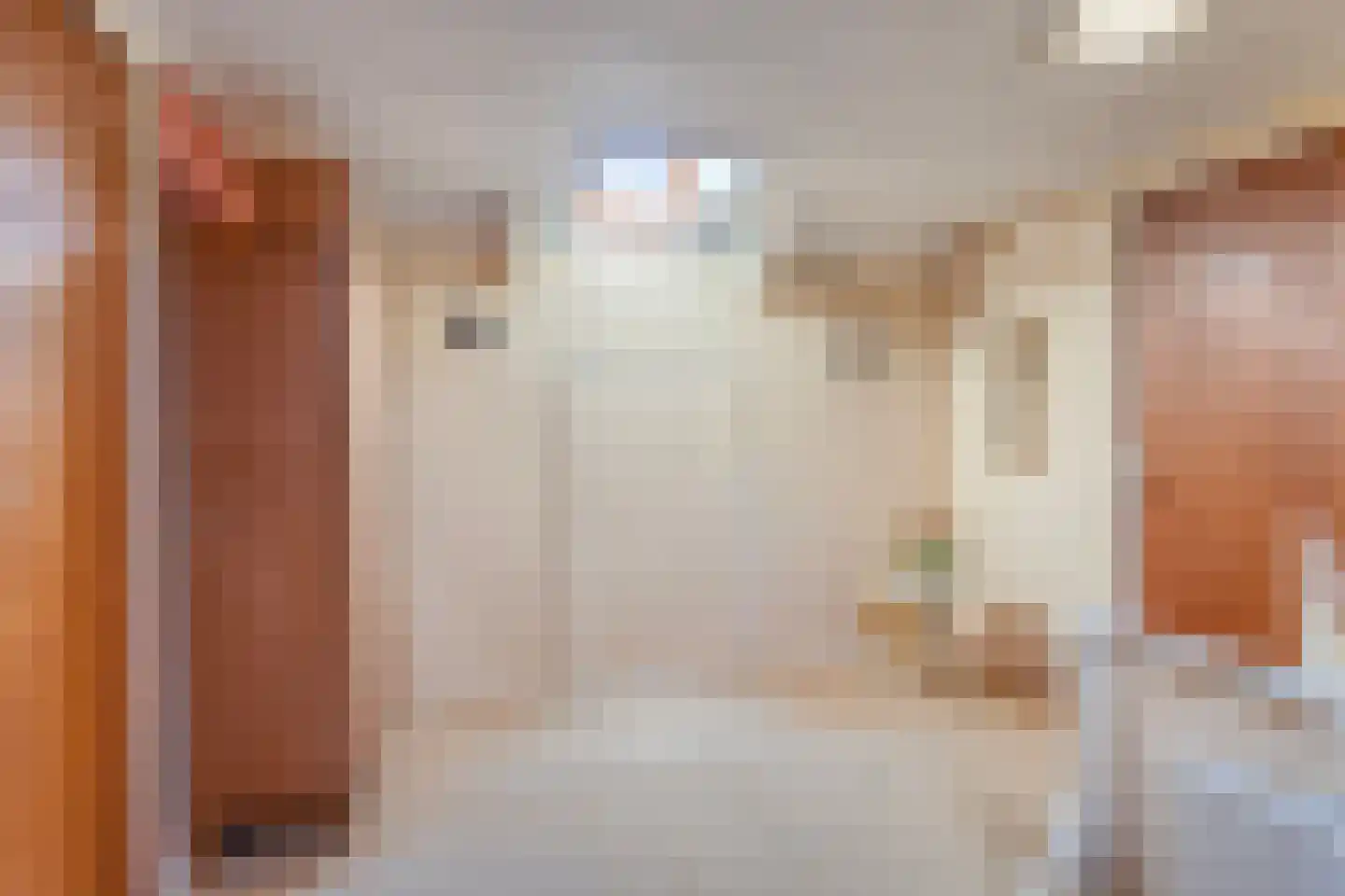 Hoofdstraat 9 Buinerveen thumbnail 41