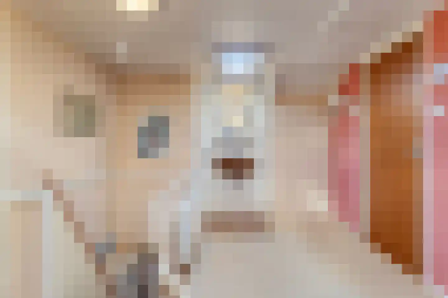 Hoofdstraat 9 Buinerveen thumbnail 42