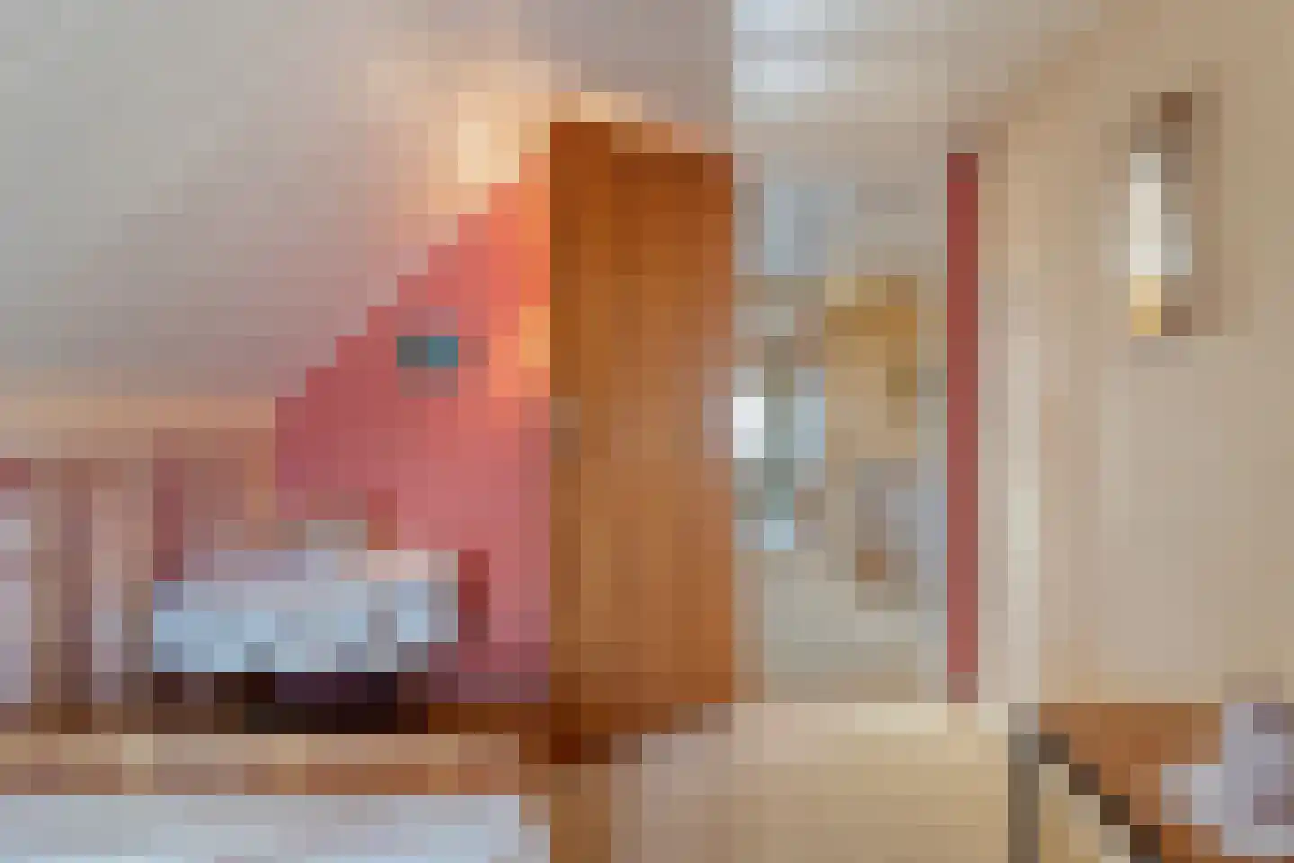 Hoofdstraat 9 Buinerveen thumbnail 46