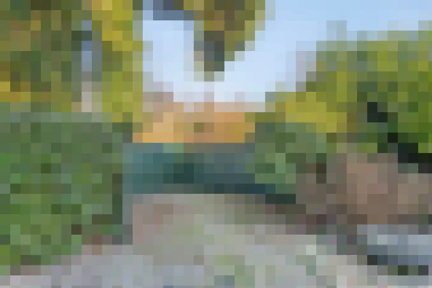 Hoofdstraat 9 Buinerveen thumbnail 59