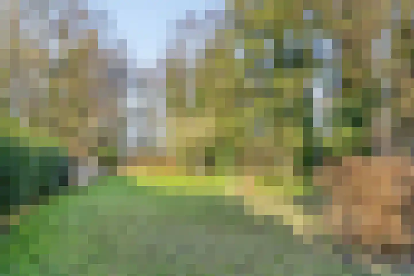 Hoofdstraat 9 Buinerveen thumbnail 61