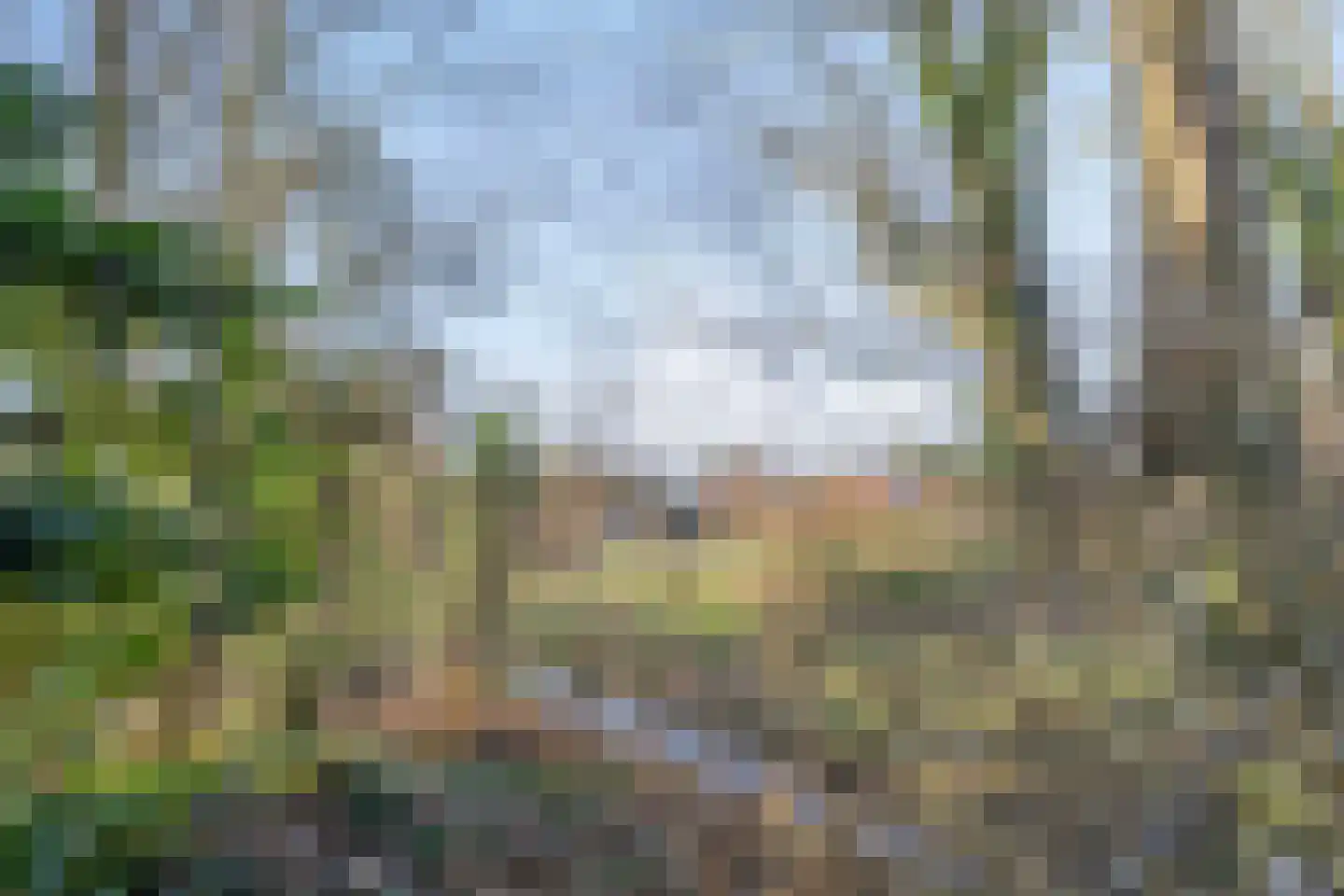 Hoofdstraat 9 Buinerveen thumbnail 62