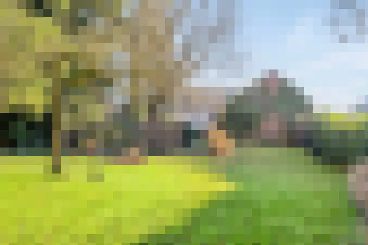 Hoofdstraat 9 Buinerveen thumbnail 64