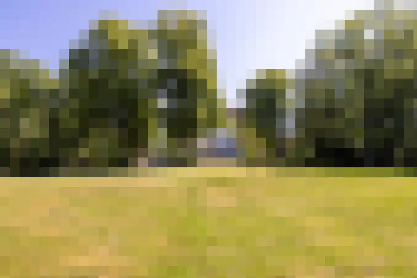Hoofdstraat 9 Driebergen-Rijsenburg thumbnail 34