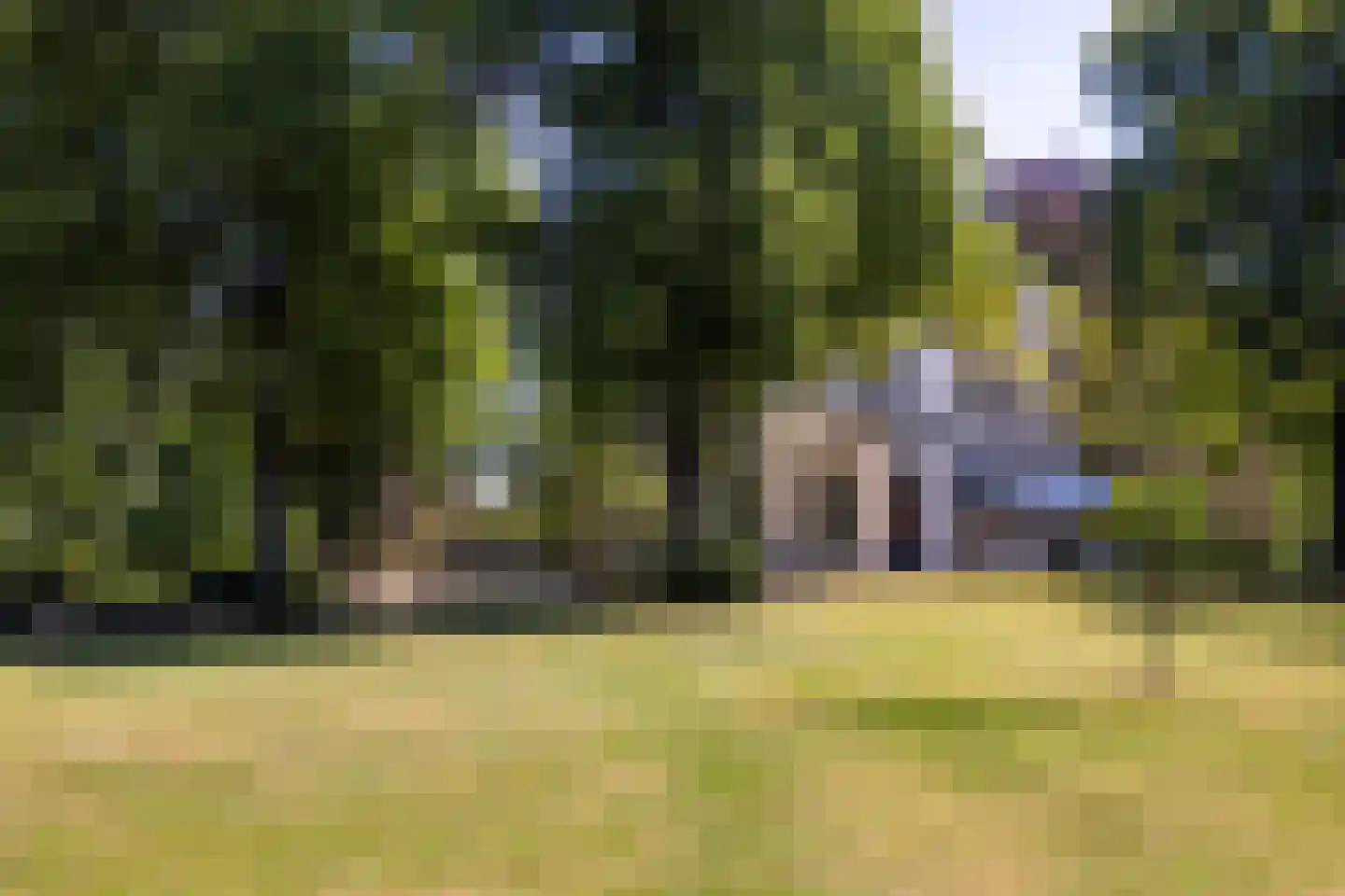 Hoofdstraat 9 Driebergen-Rijsenburg thumbnail 4