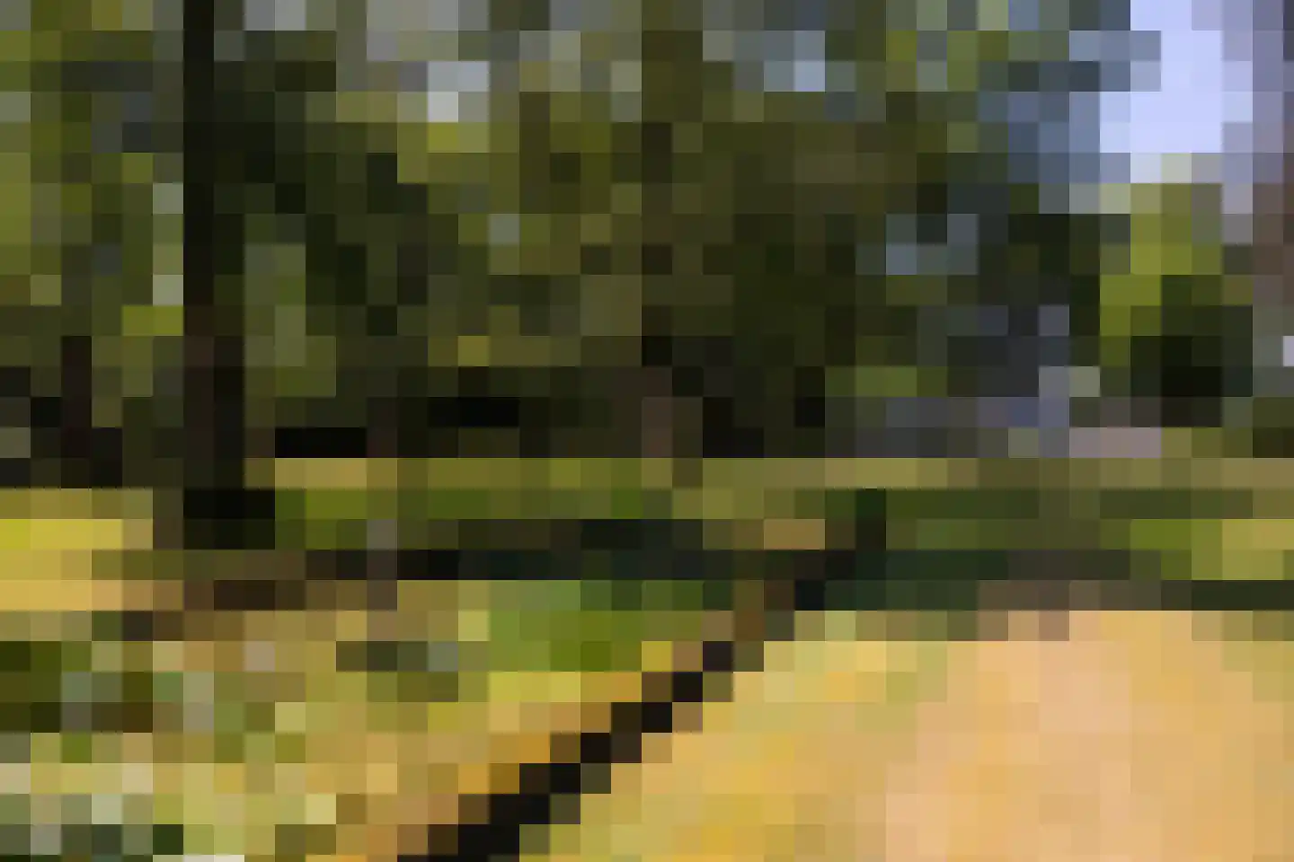 Hoofdstraat 9 Driebergen-Rijsenburg thumbnail 5