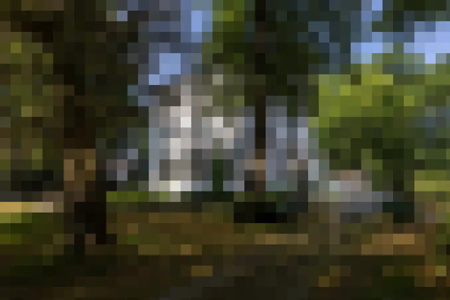 Hoofdstraat 9 Driebergen-Rijsenburg thumbnail 8