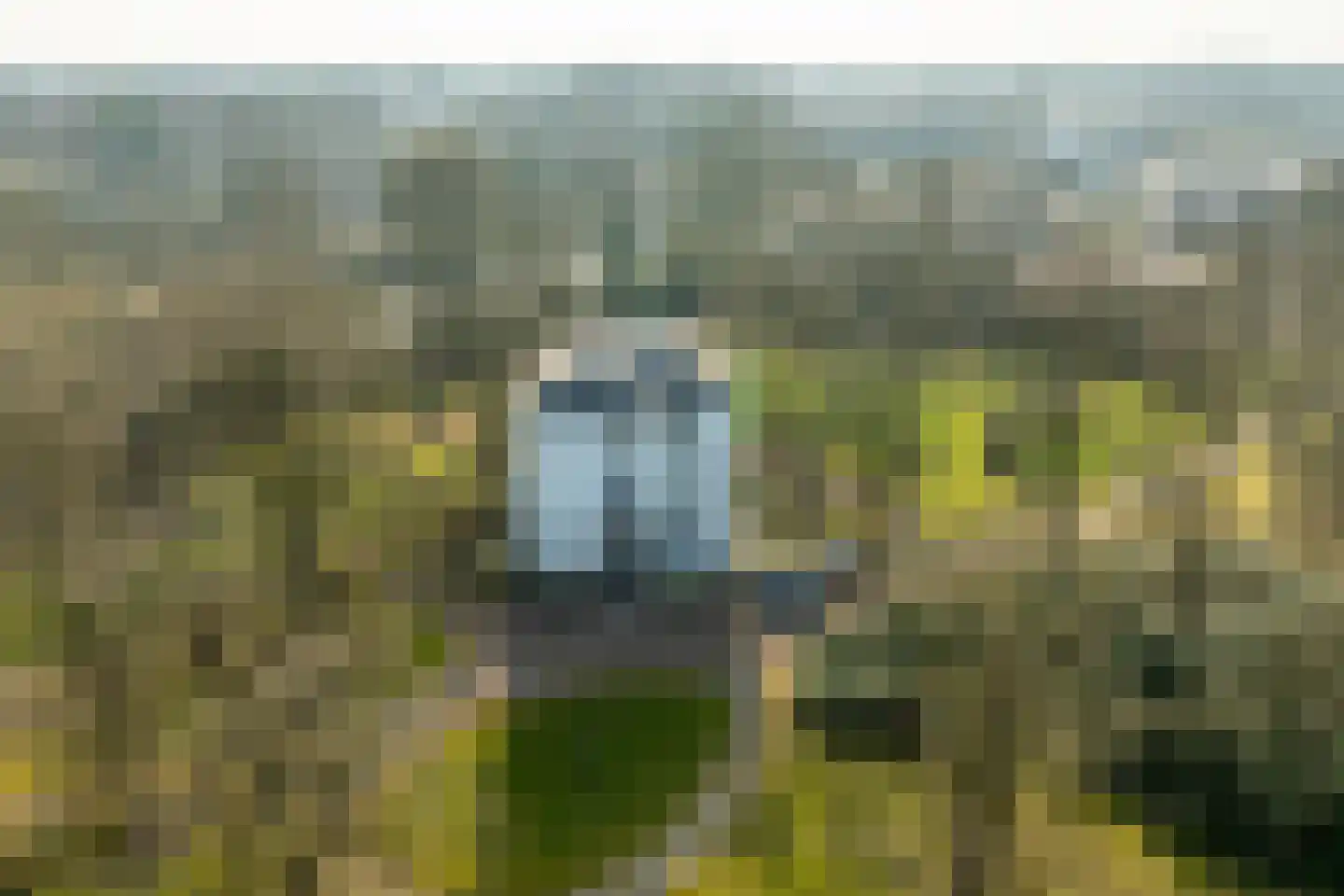 Hoofdstraat 9 Driebergen-Rijsenburg thumbnail 8