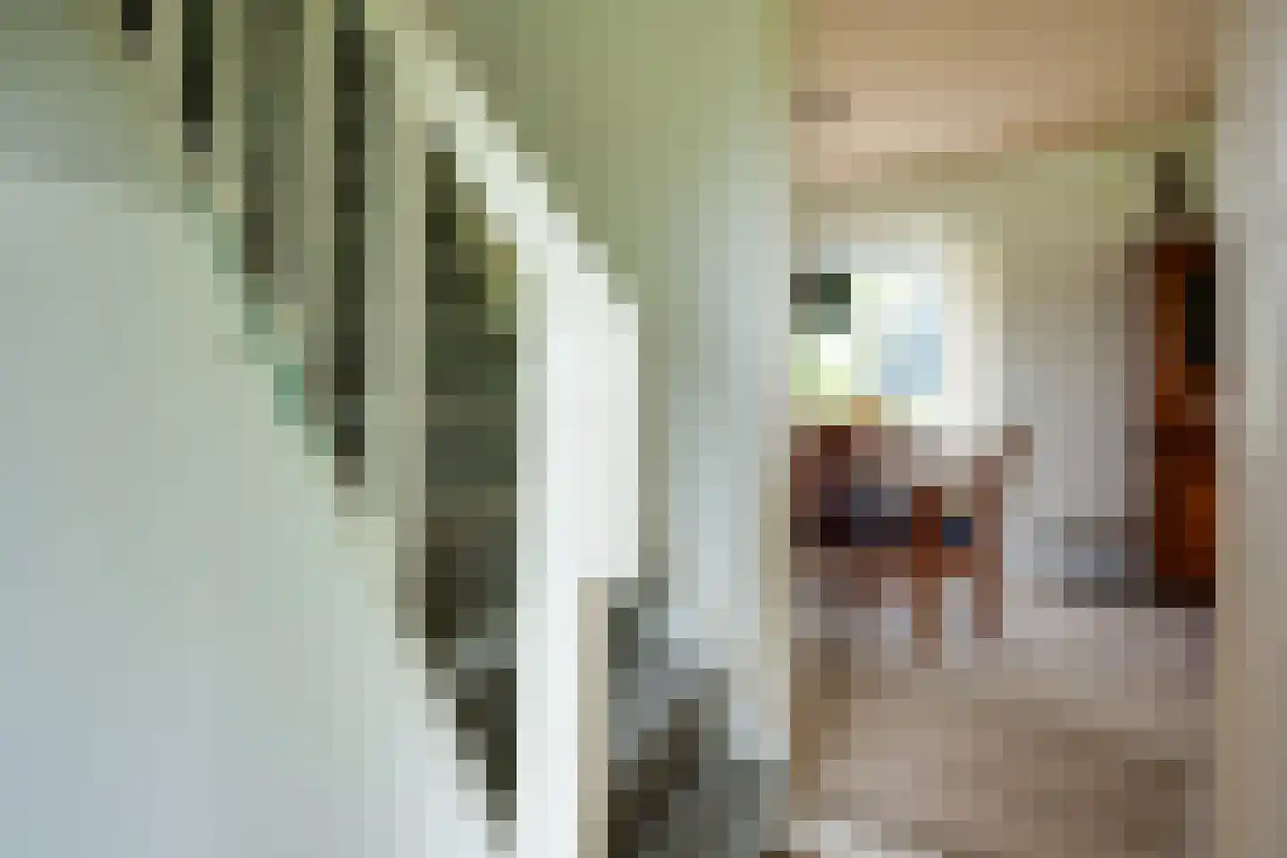 Hoofdstraat 9 Grootegast thumbnail 37