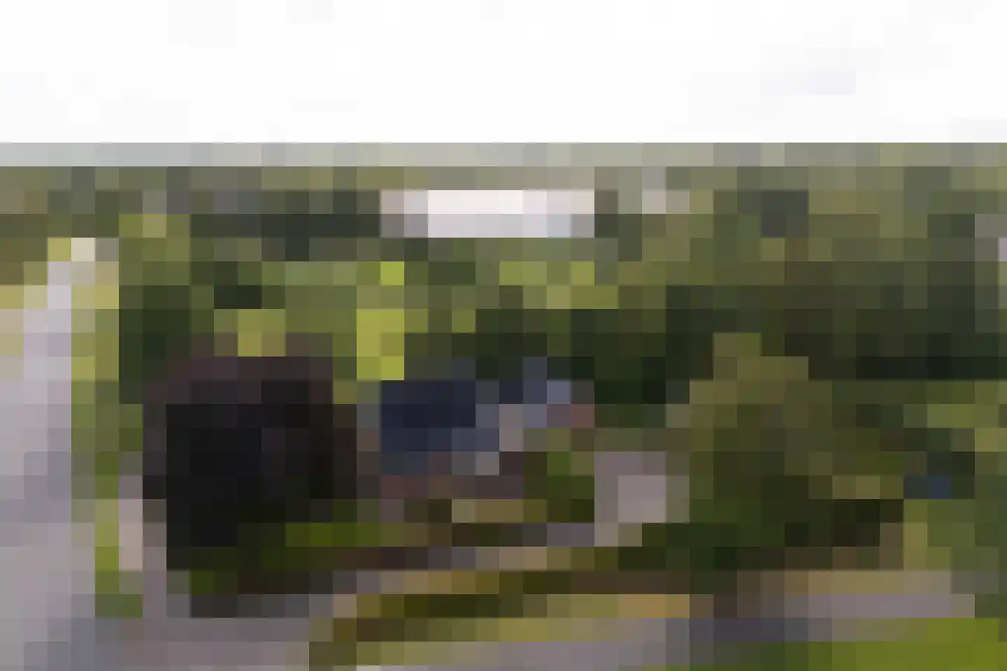 Hoofdstraat 9 Grootegast thumbnail 49
