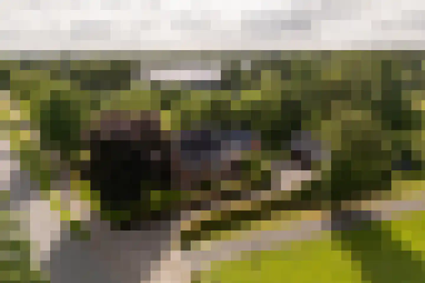 Hoofdstraat 9 Grootegast thumbnail 50