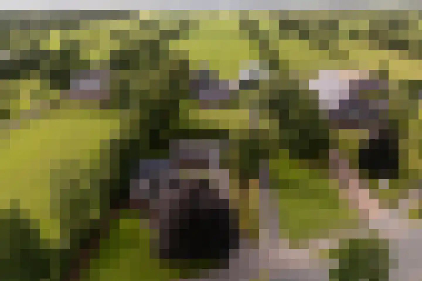 Hoofdstraat 9 Grootegast thumbnail 51
