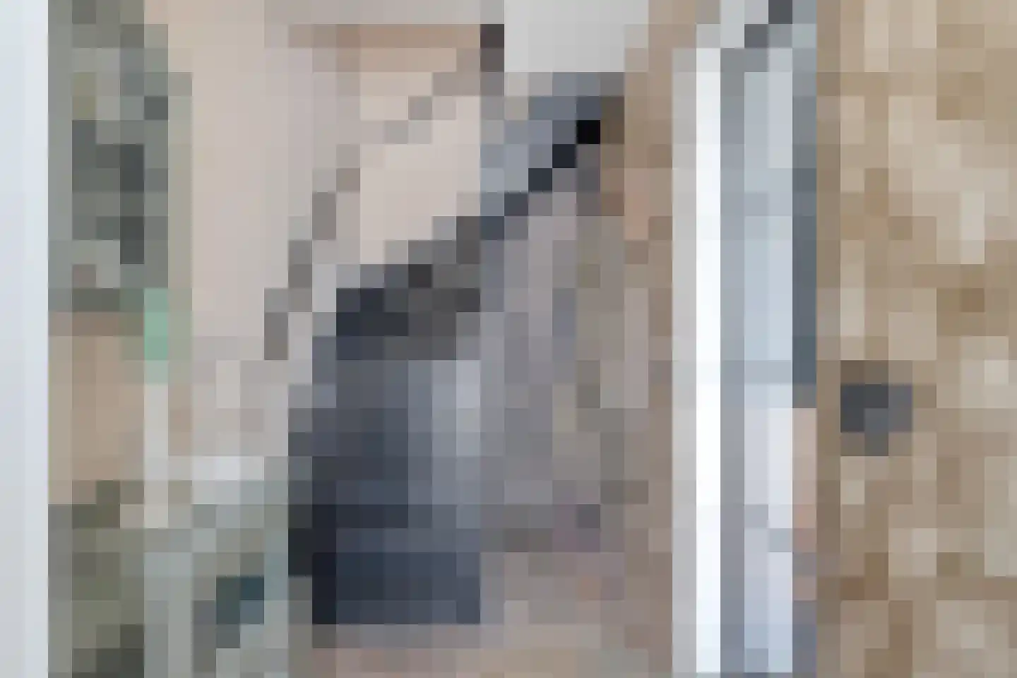 Hoofdstraat 9 Hippolytushoef thumbnail 10
