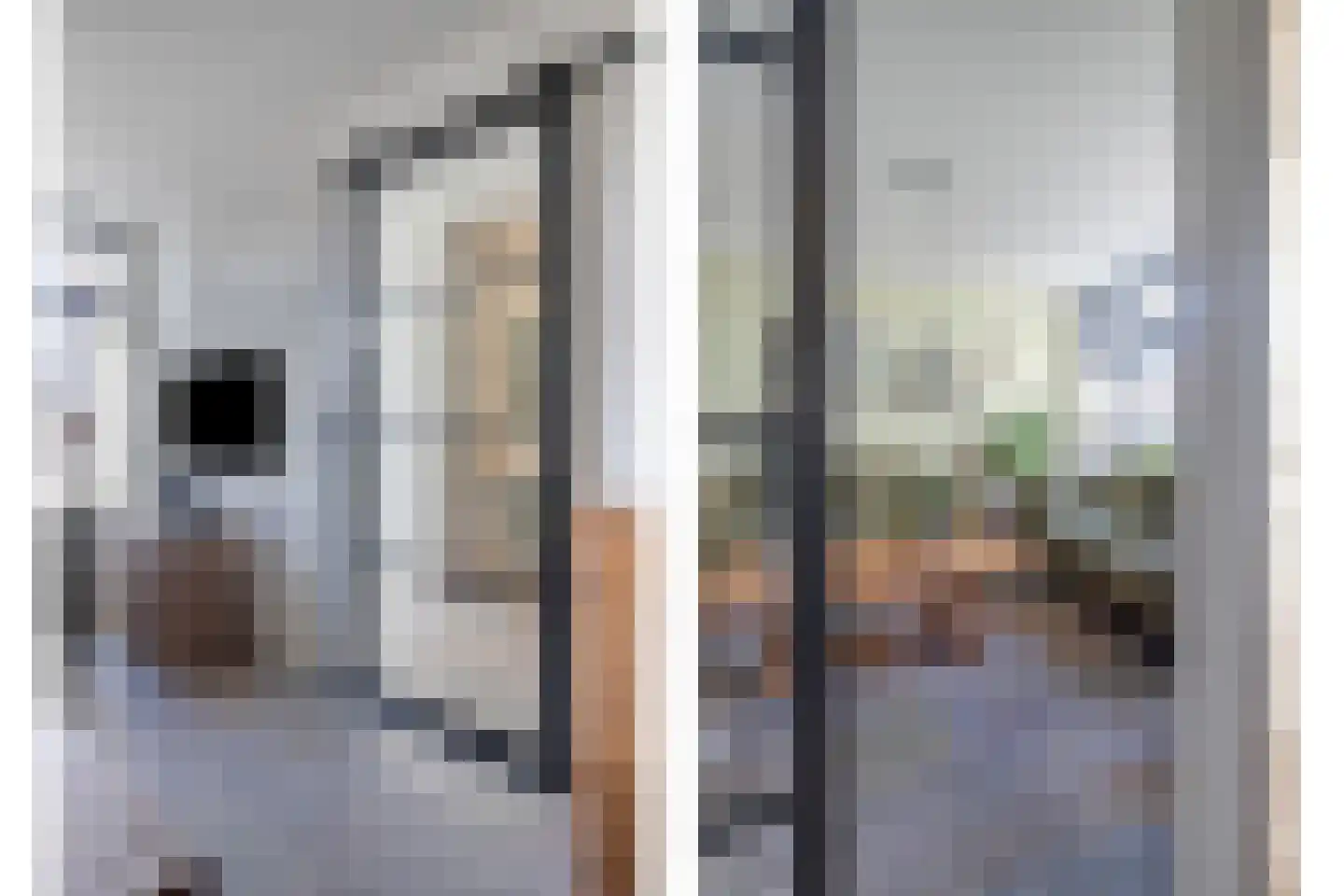 Hoofdstraat 9 Hippolytushoef thumbnail 10