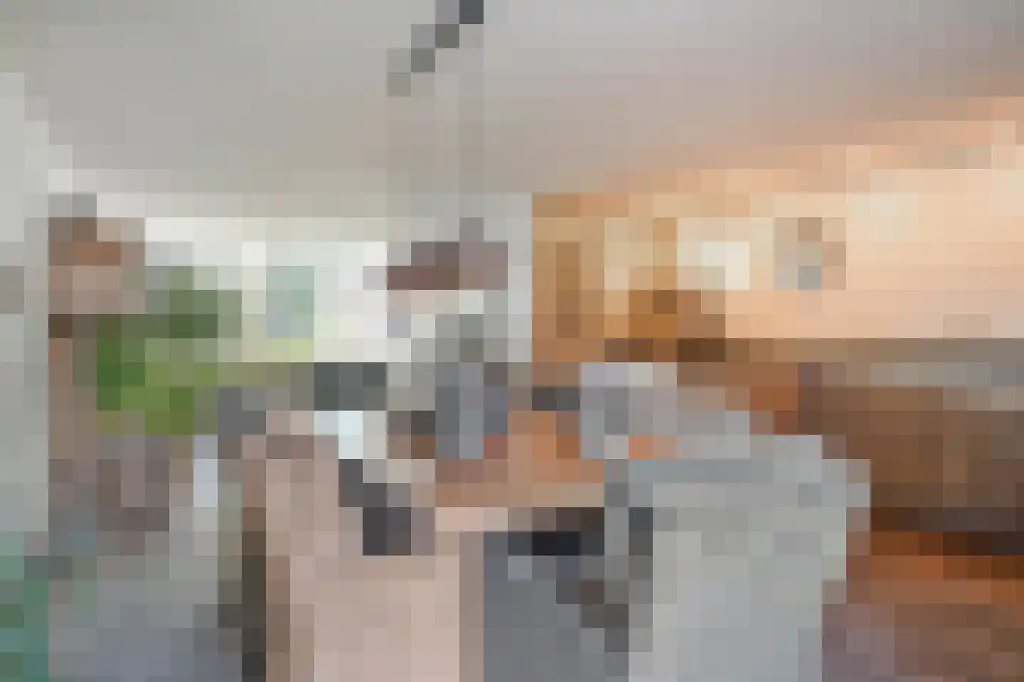Hoofdstraat 9 Hippolytushoef thumbnail 14