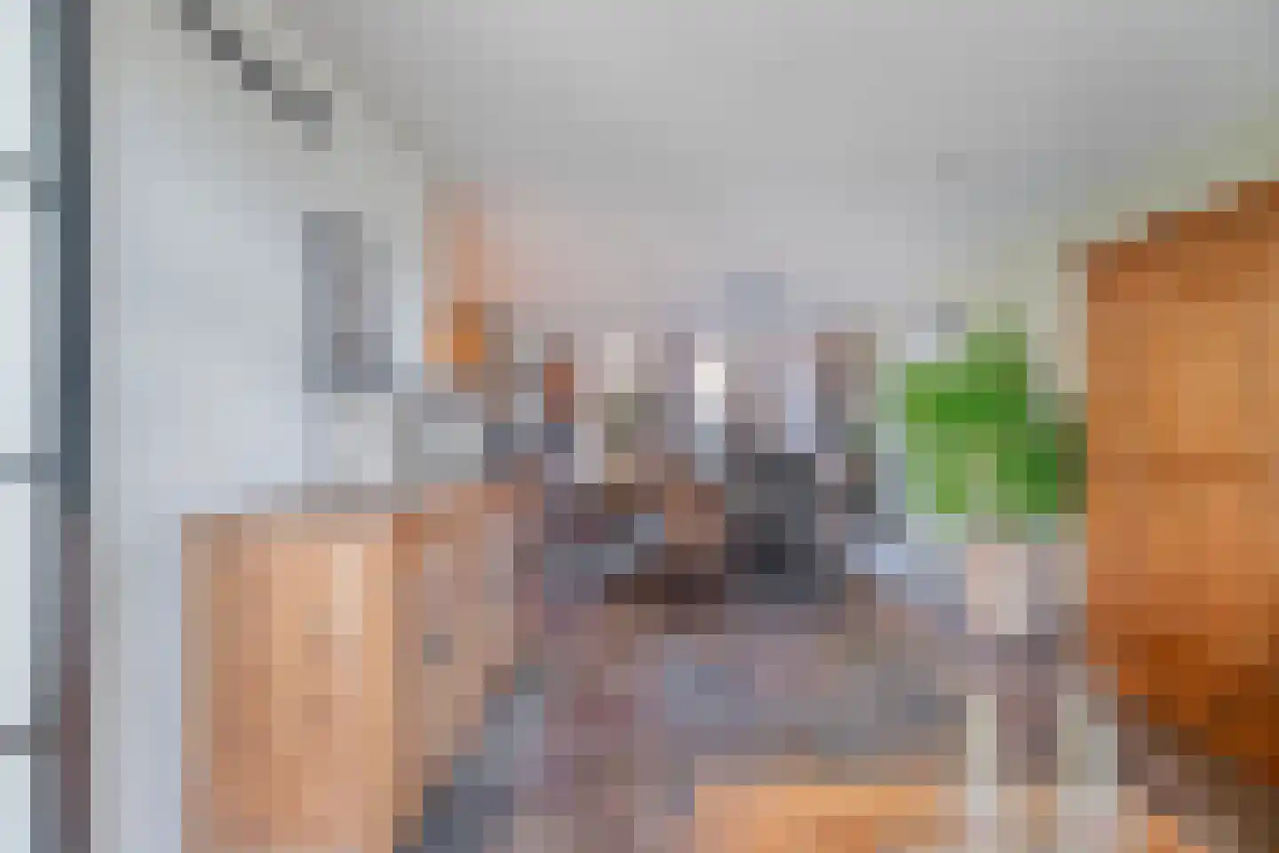 Hoofdstraat 9 Hippolytushoef thumbnail 15