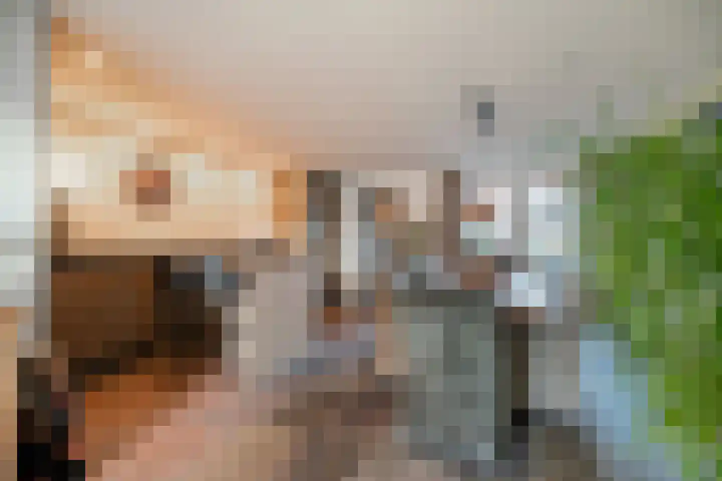 Hoofdstraat 9 Hippolytushoef thumbnail 17