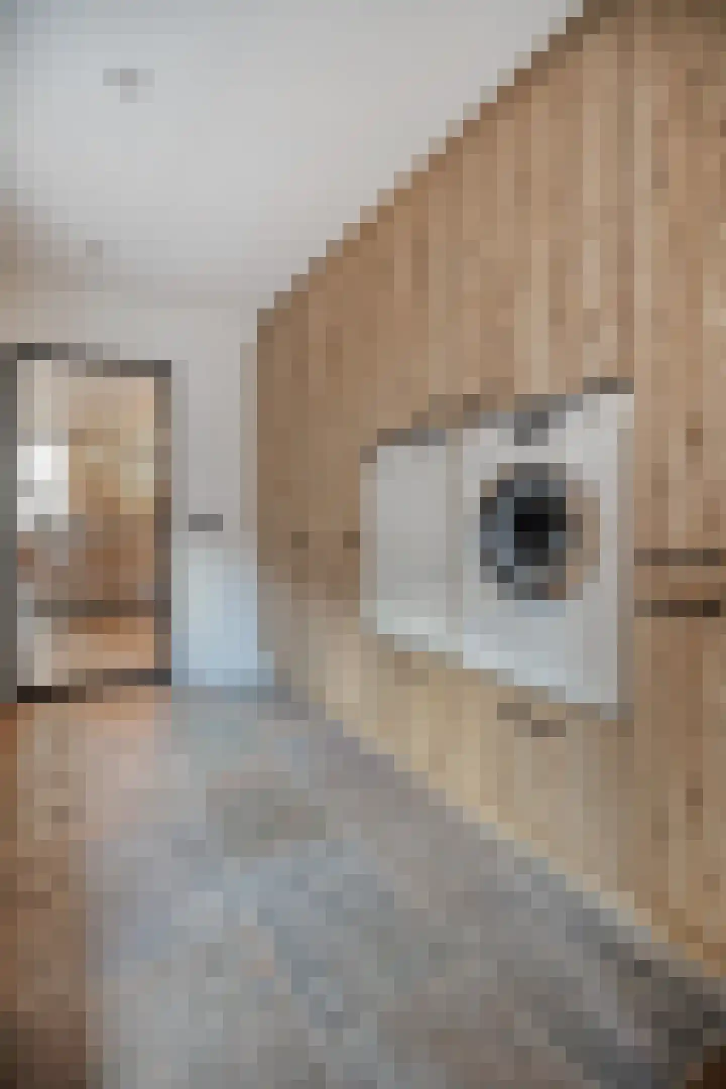 Hoofdstraat 9 Hippolytushoef thumbnail 21