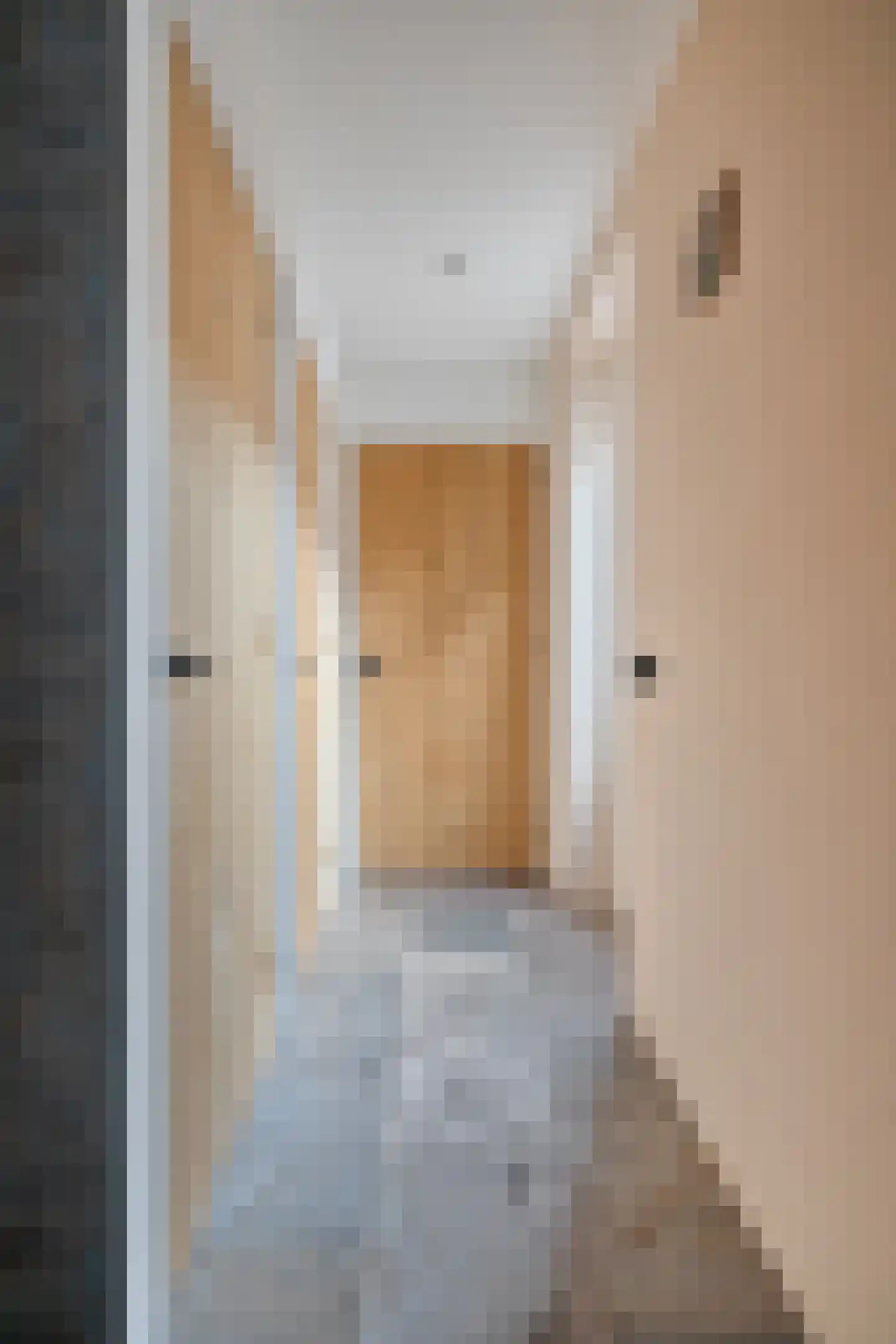 Hoofdstraat 9 Hippolytushoef thumbnail 22