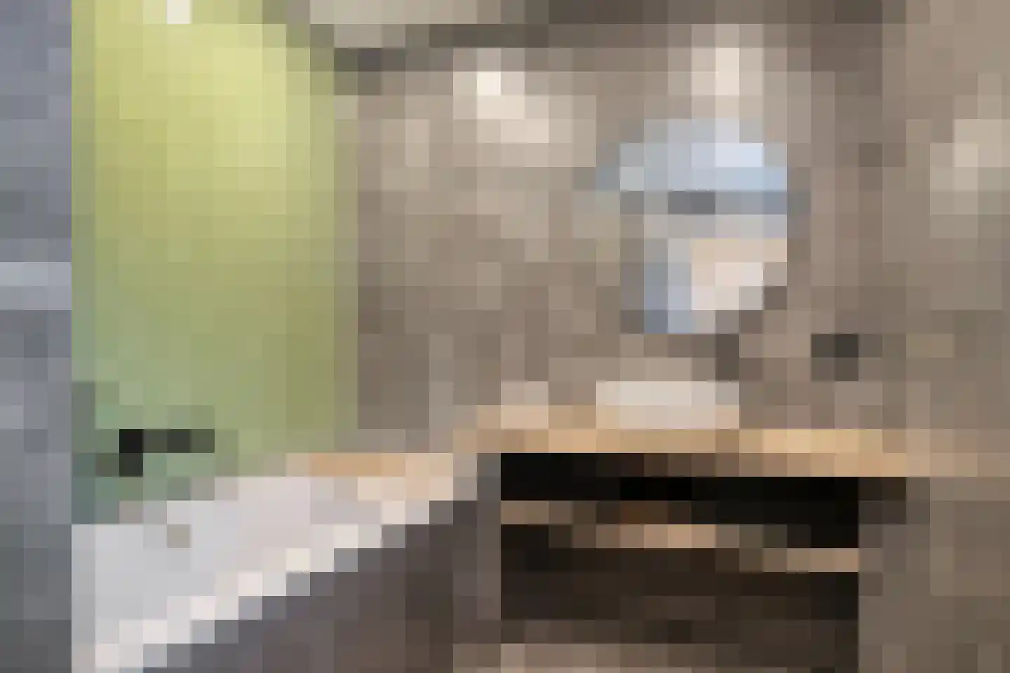 Hoofdstraat 9 Hippolytushoef thumbnail 31
