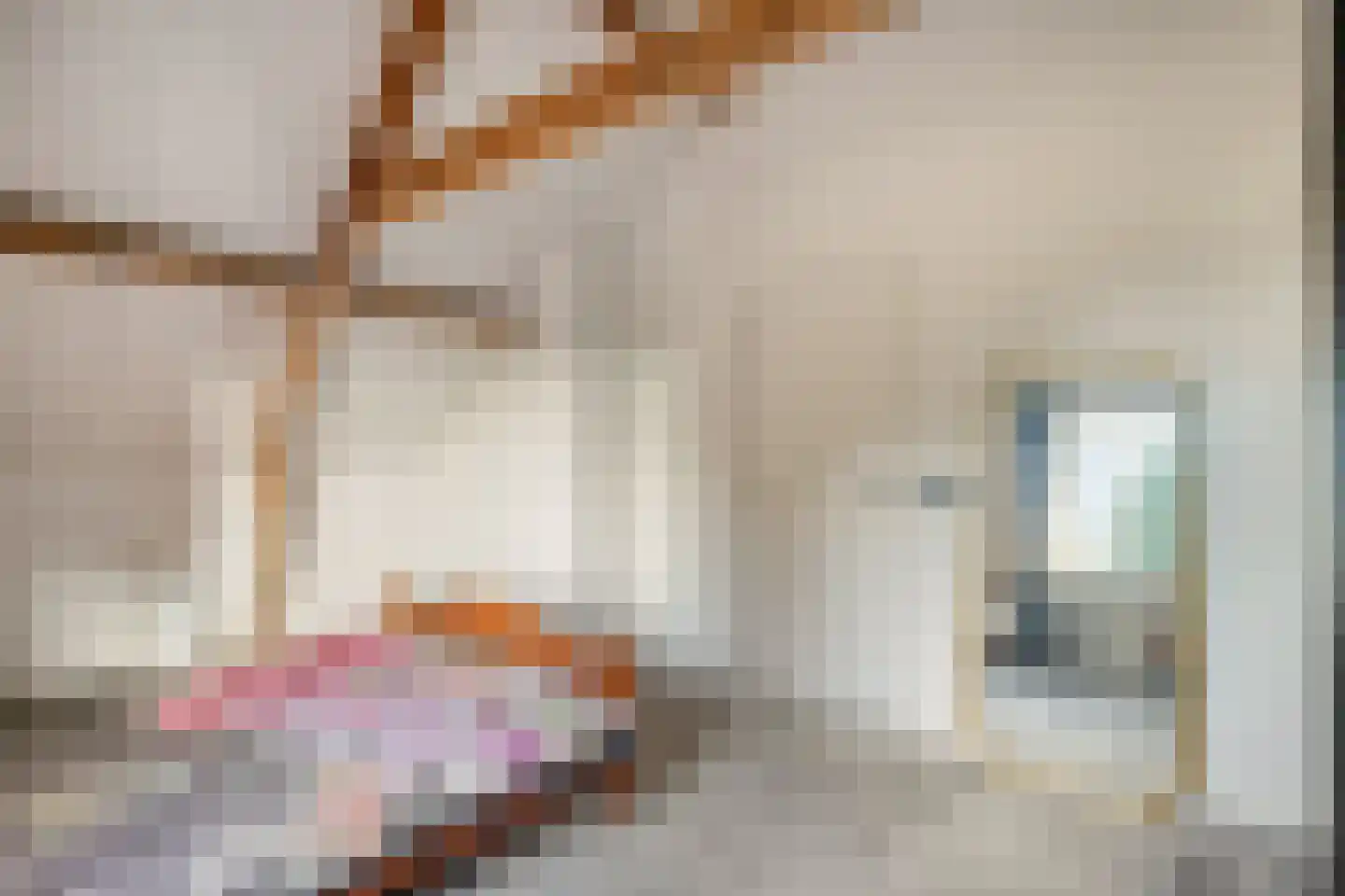 Hoofdstraat 9 Hippolytushoef thumbnail 31