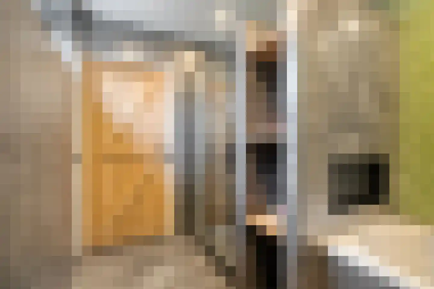 Hoofdstraat 9 Hippolytushoef thumbnail 32