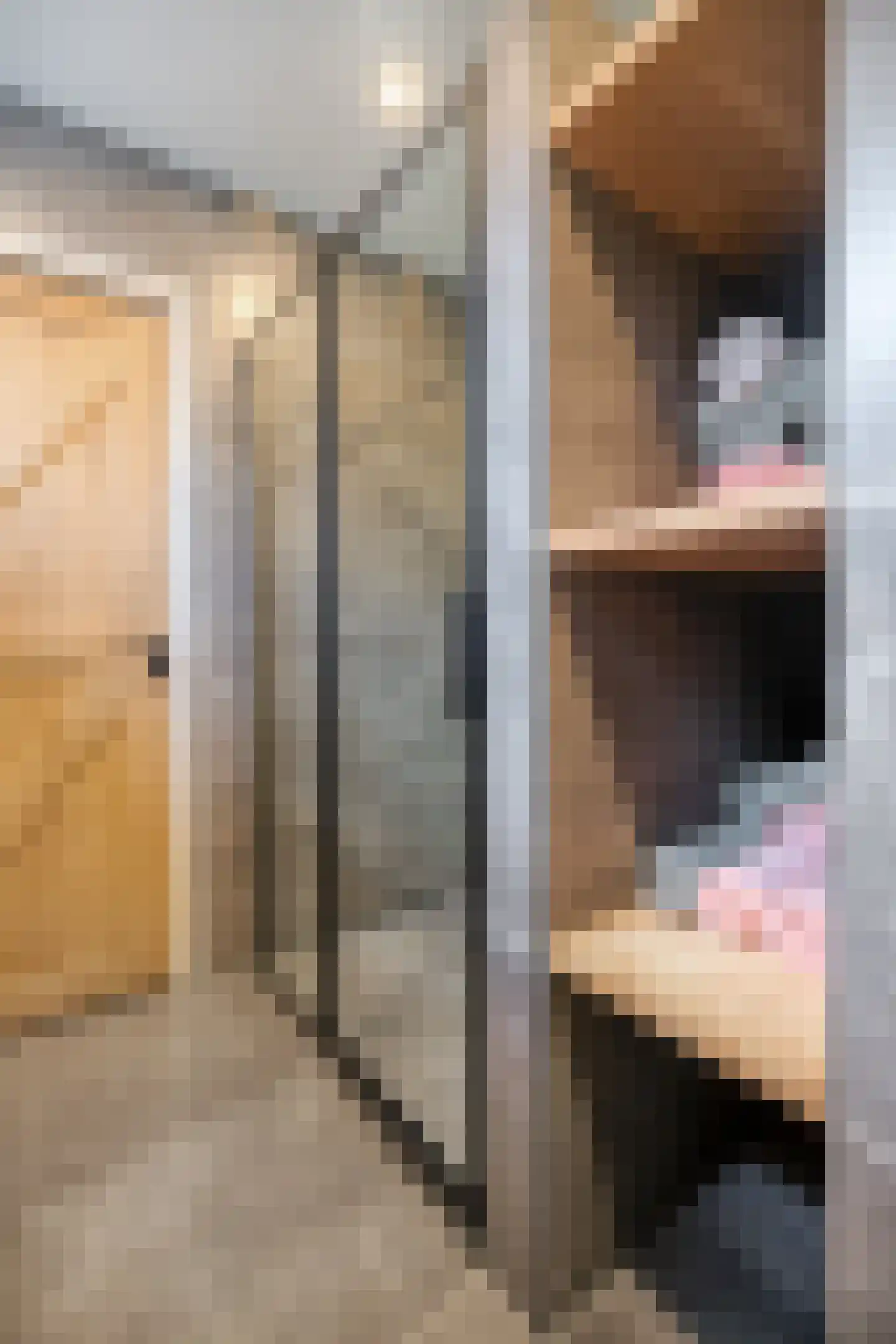 Hoofdstraat 9 Hippolytushoef thumbnail 33