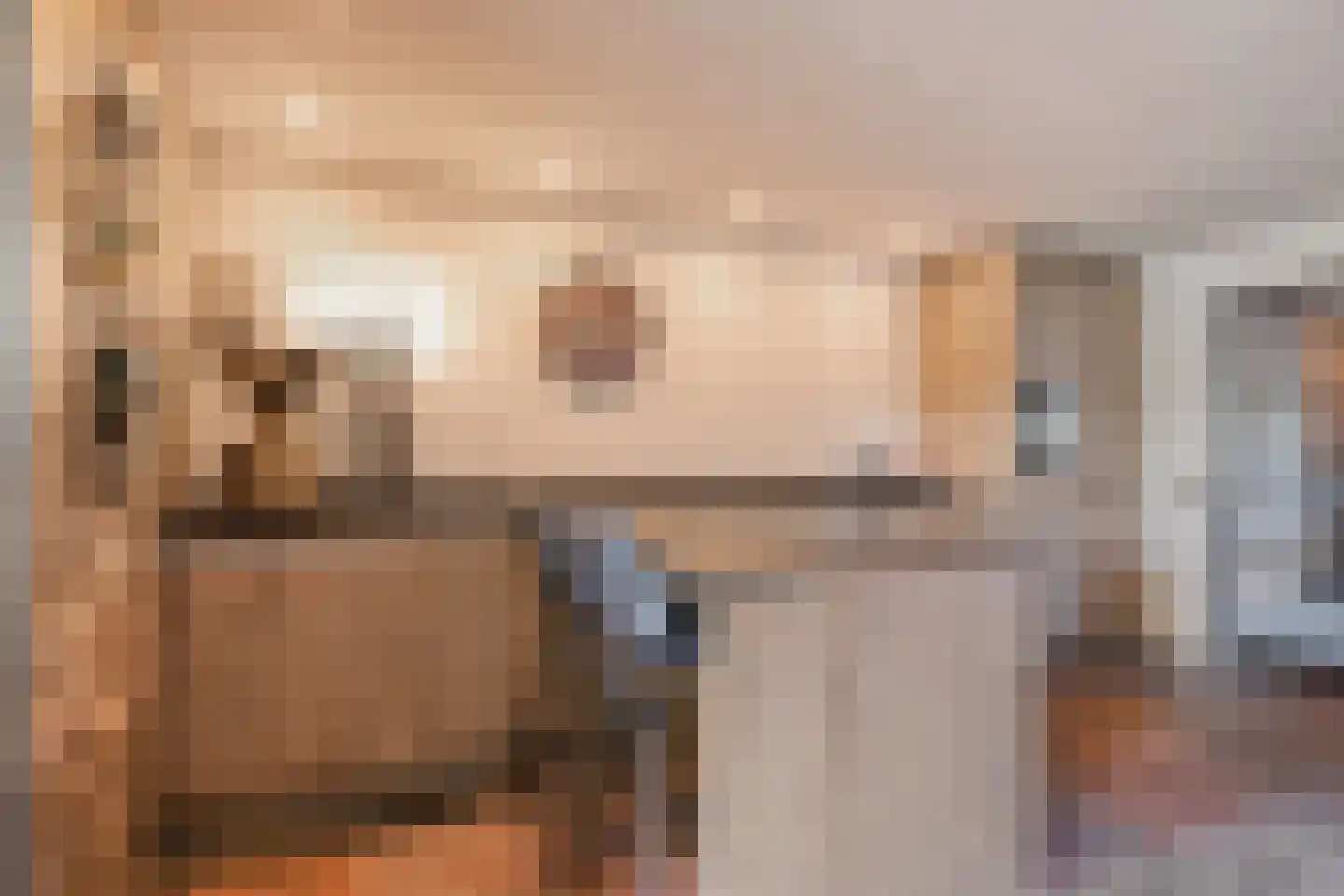 Hoofdstraat 9 Hippolytushoef thumbnail 4
