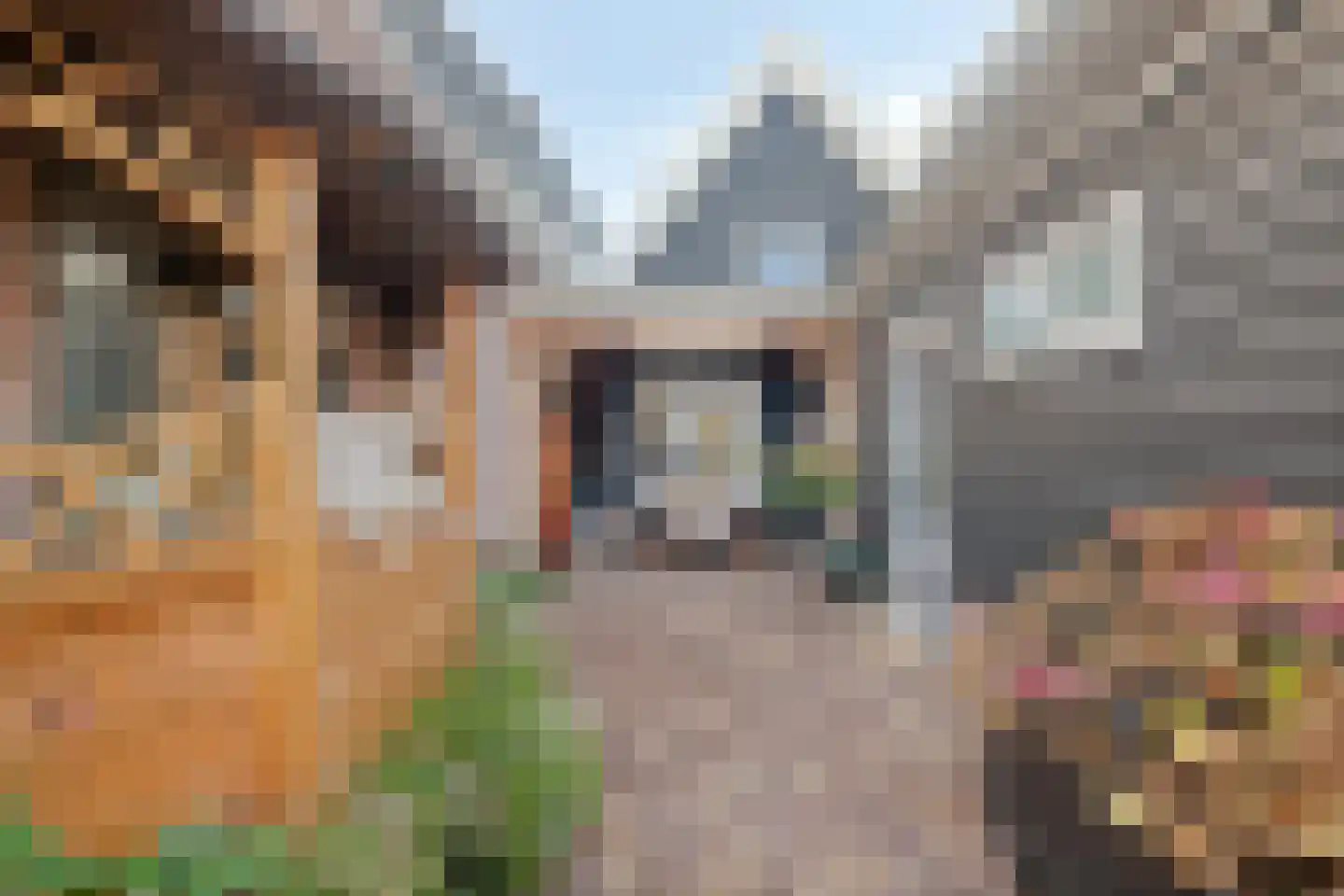Hoofdstraat 9 Hippolytushoef thumbnail 43