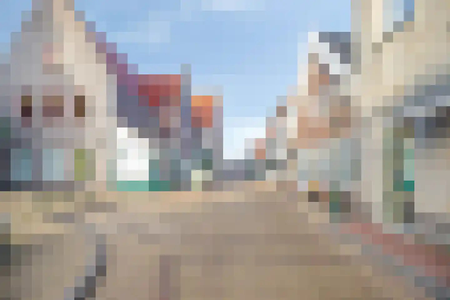 Hoofdstraat 9 Hippolytushoef thumbnail 5