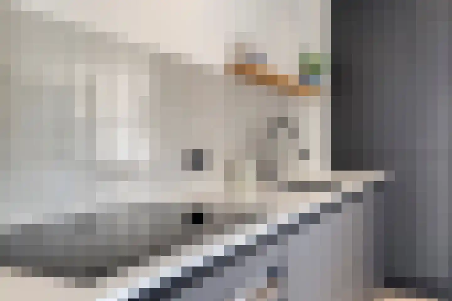 Hoofdstraat 9 Kruiningen thumbnail 16