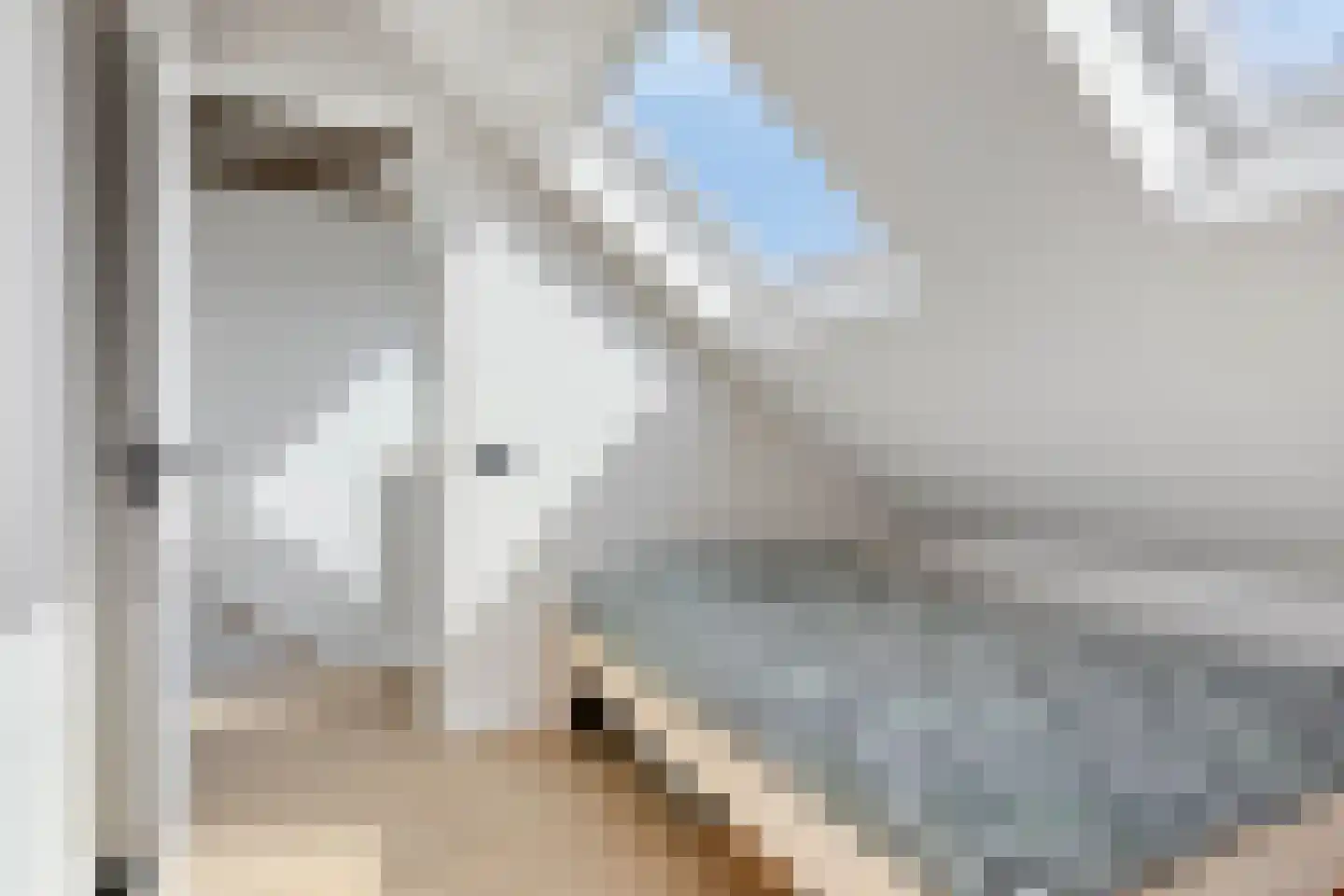 Hoofdstraat 9 Kruiningen thumbnail 22