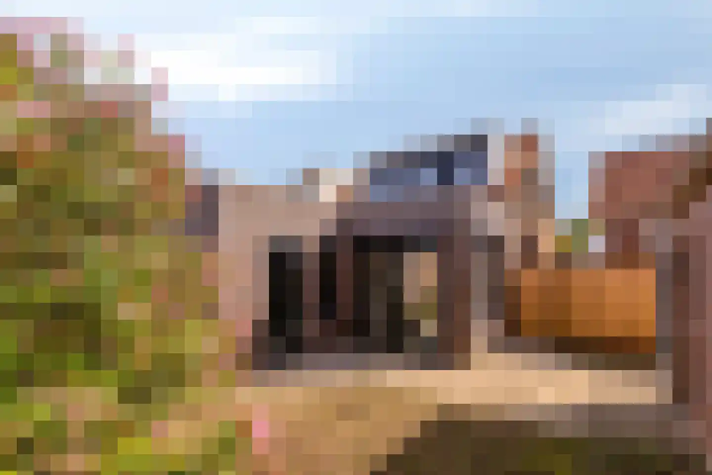 Hoofdstraat 9 Kruiningen thumbnail 28