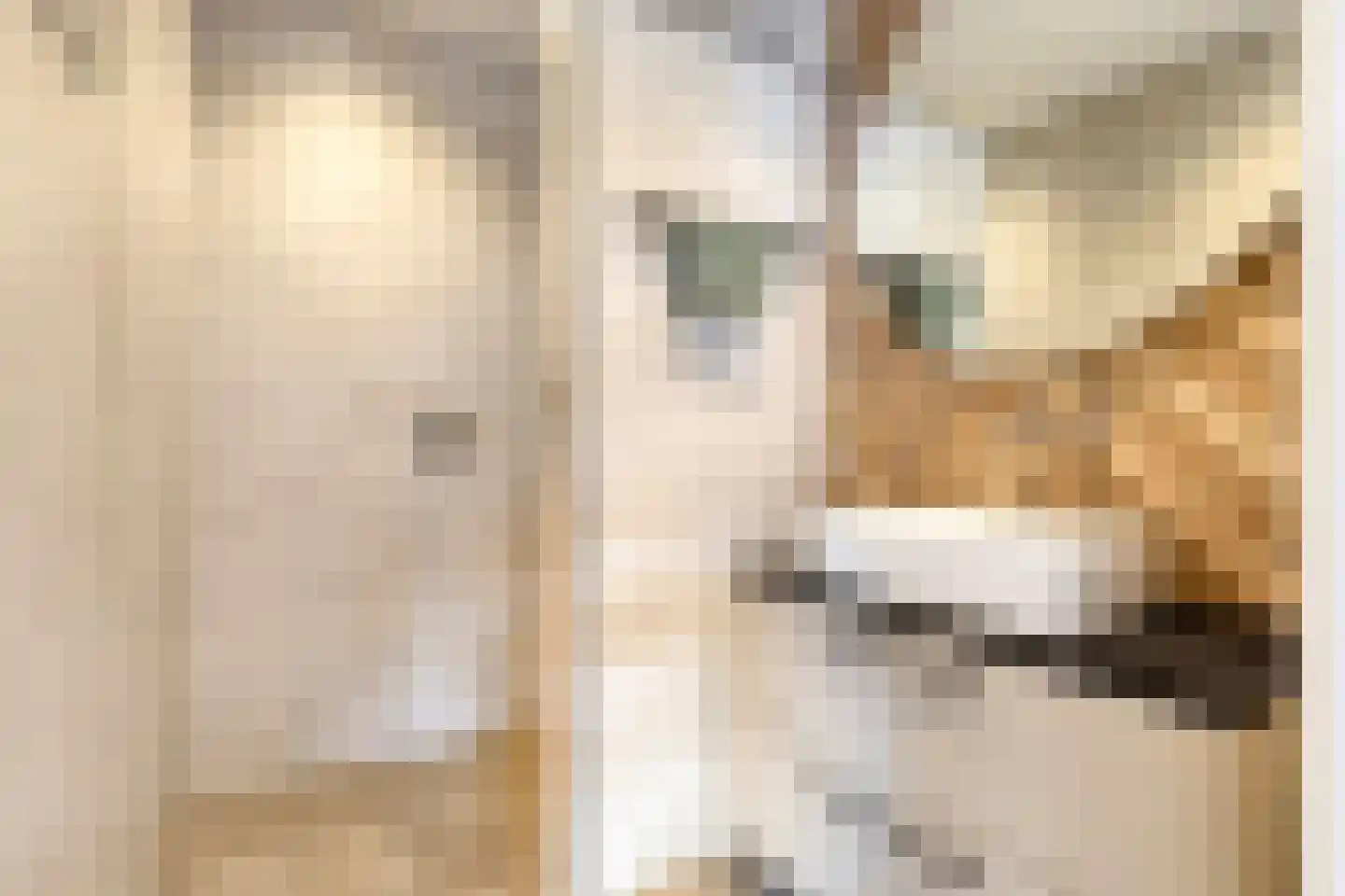 Hoofdstraat 9 Kruiningen thumbnail 6