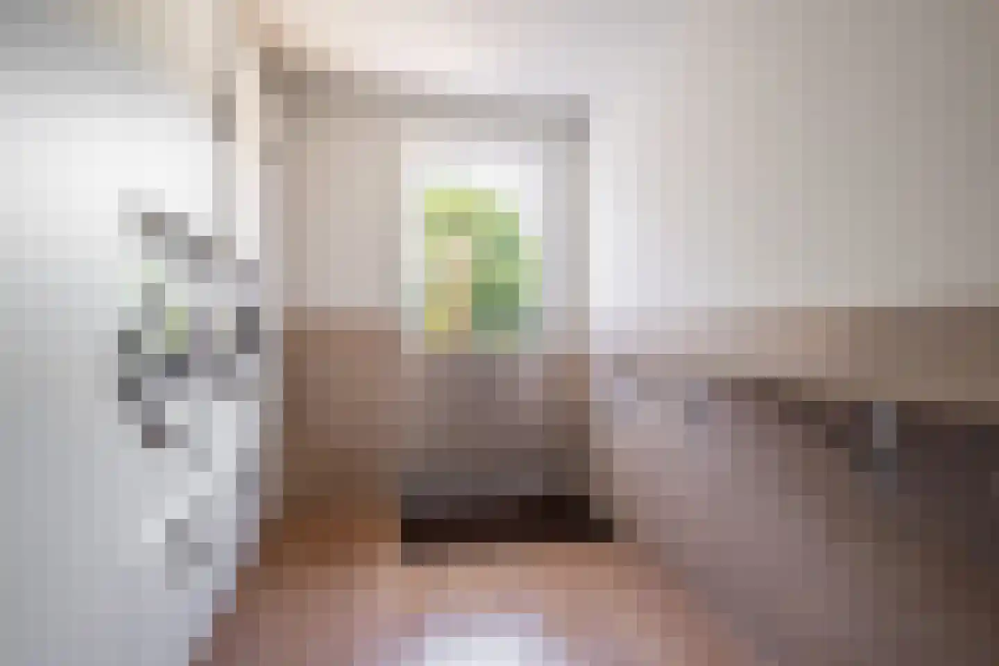 Hoofdstraat 9 Maasbracht thumbnail 13