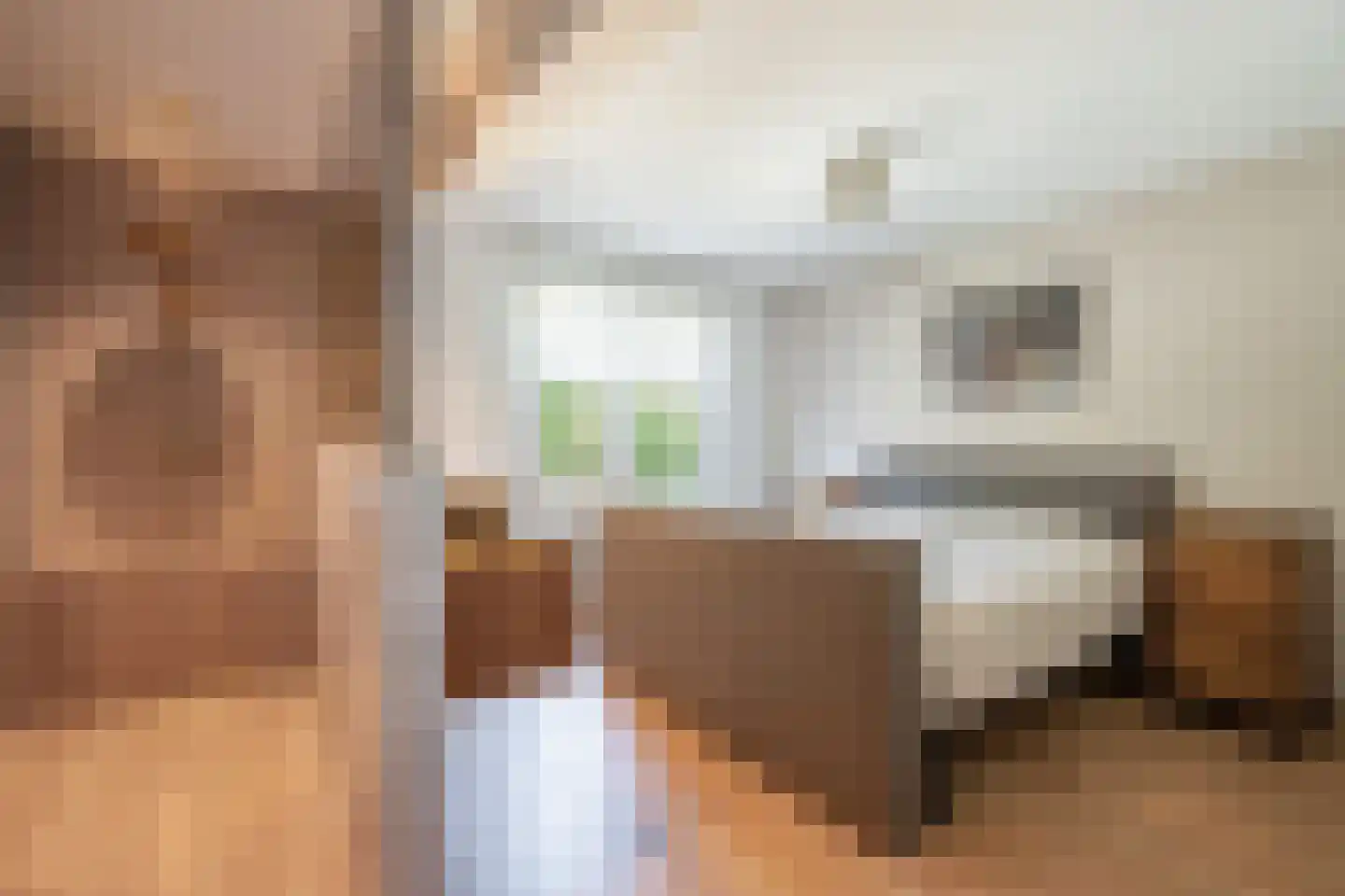 Hoofdstraat 9 Maasbracht thumbnail 16