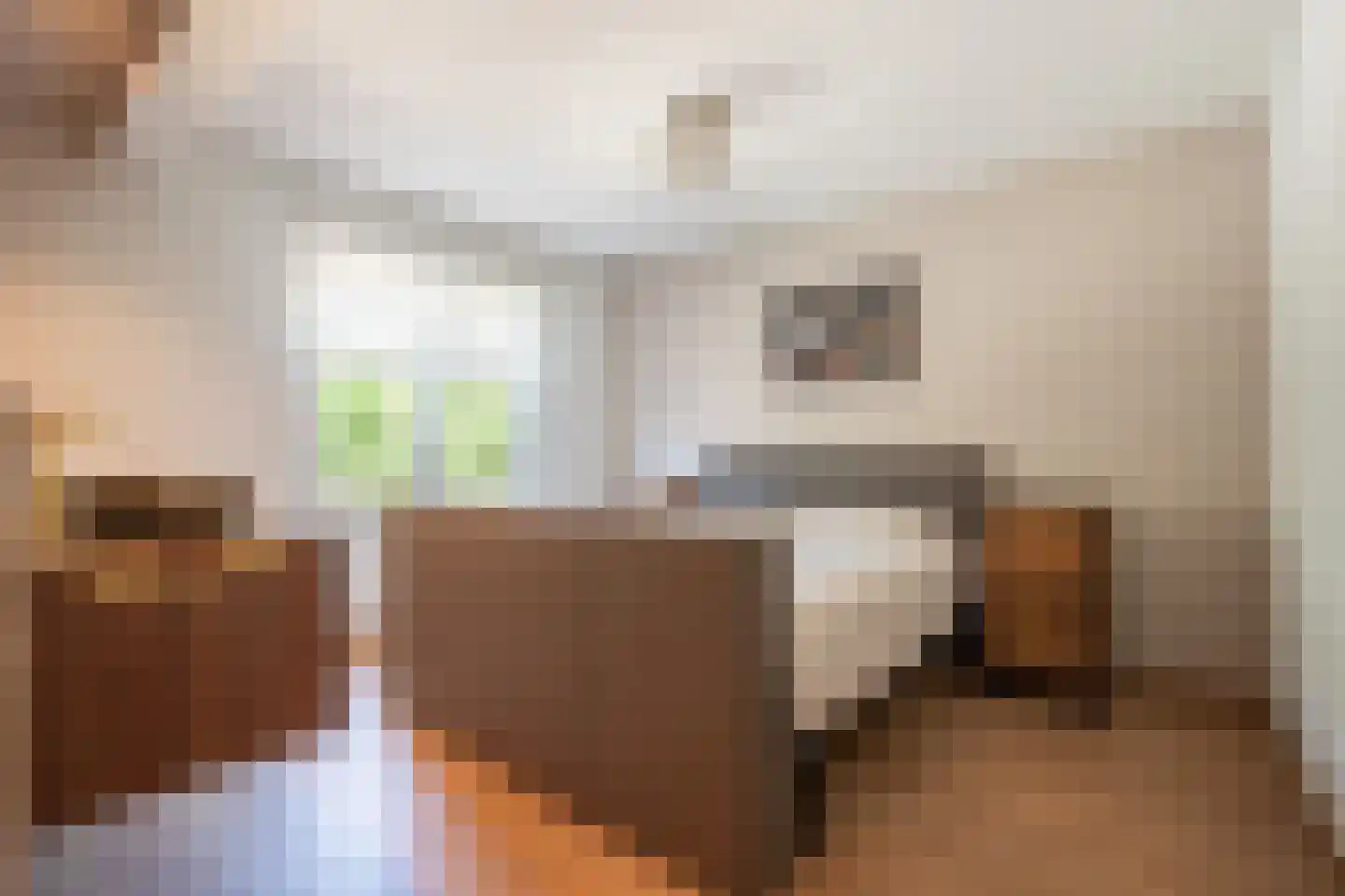 Hoofdstraat 9 Maasbracht thumbnail 19